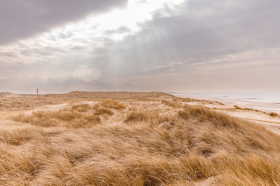 Helmgras platgedrukt door de wind, zonnestralen boven de zee
