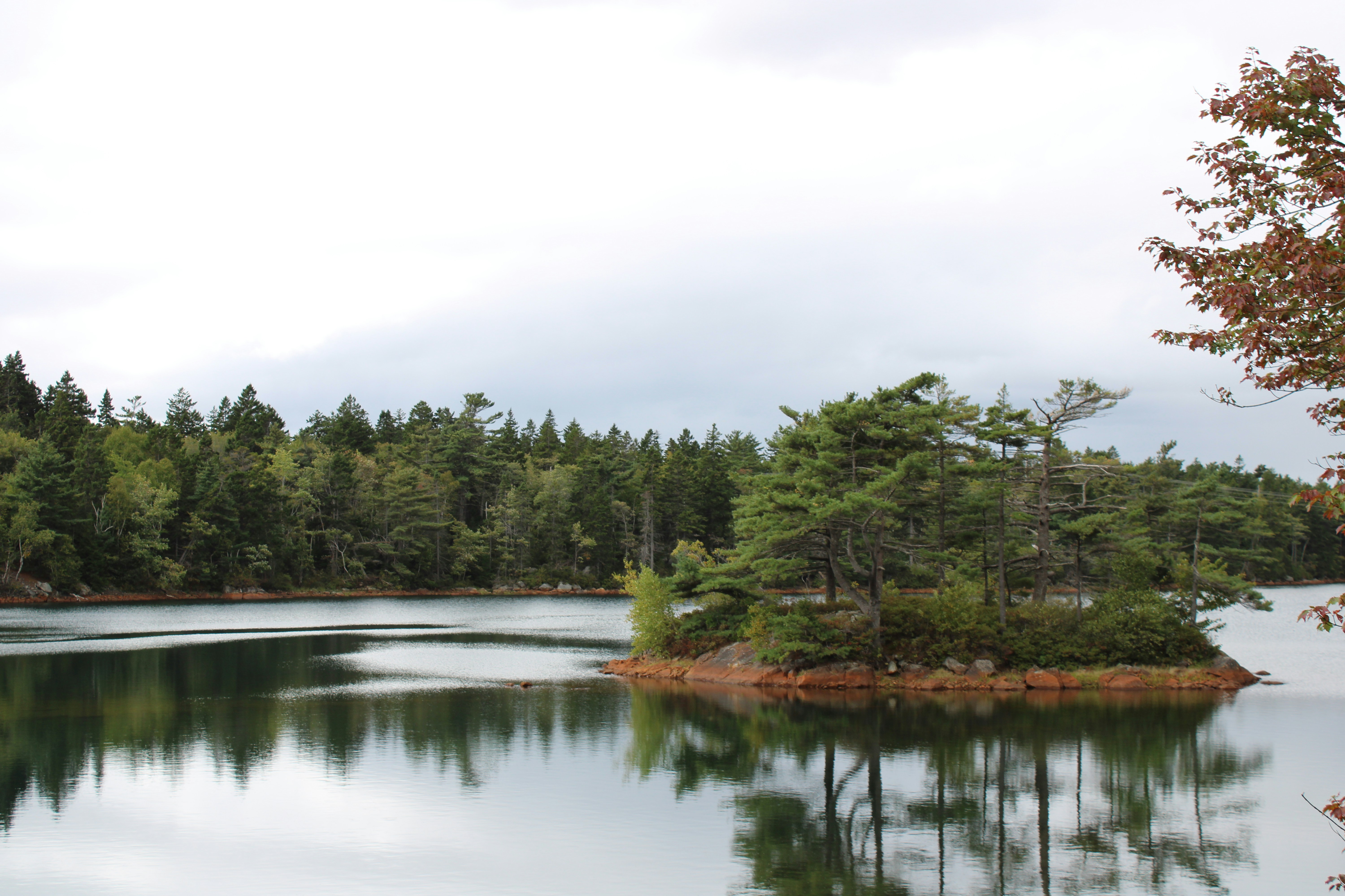 Bean Brook State Wildlife Management Area