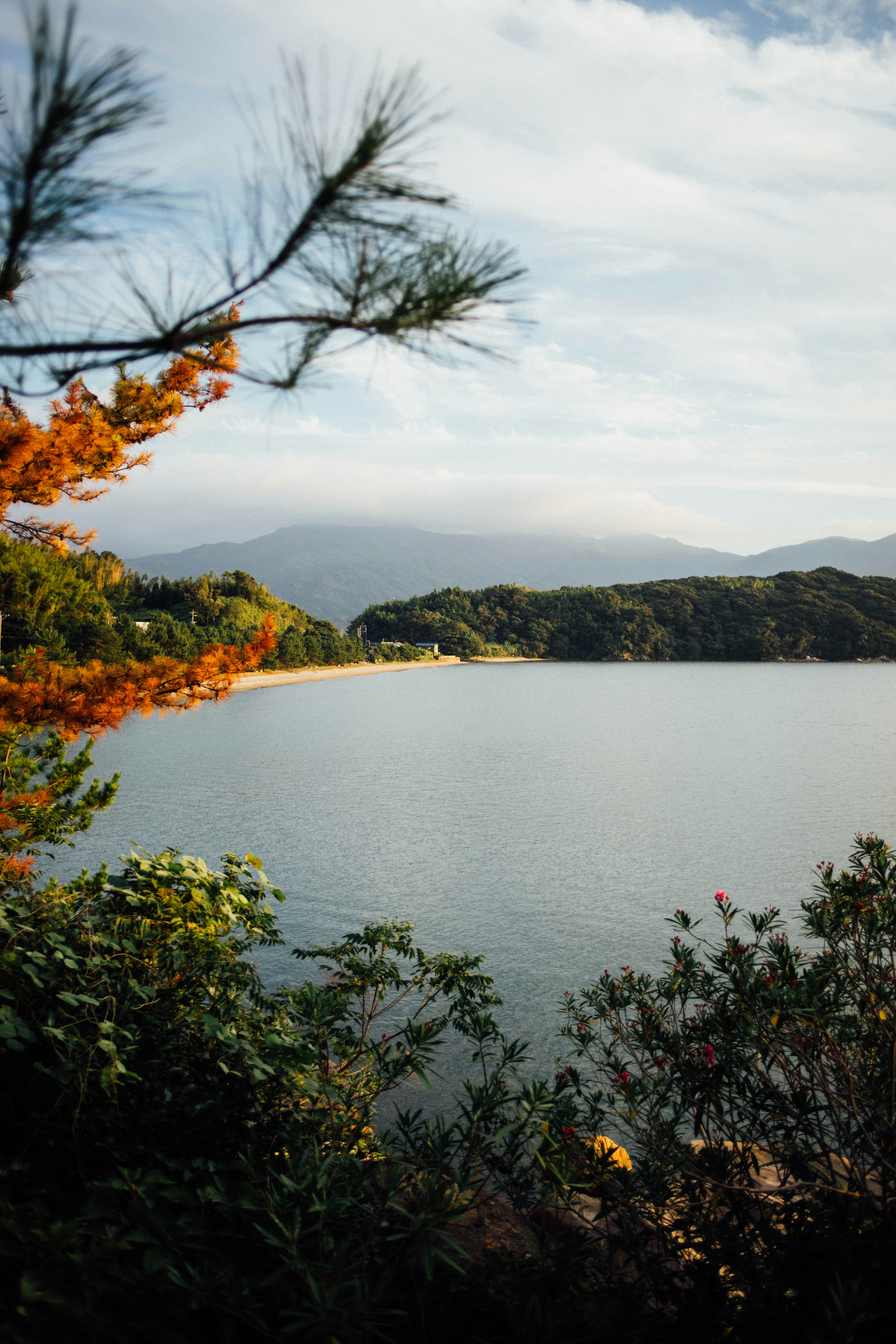 Kyushu forest glamping