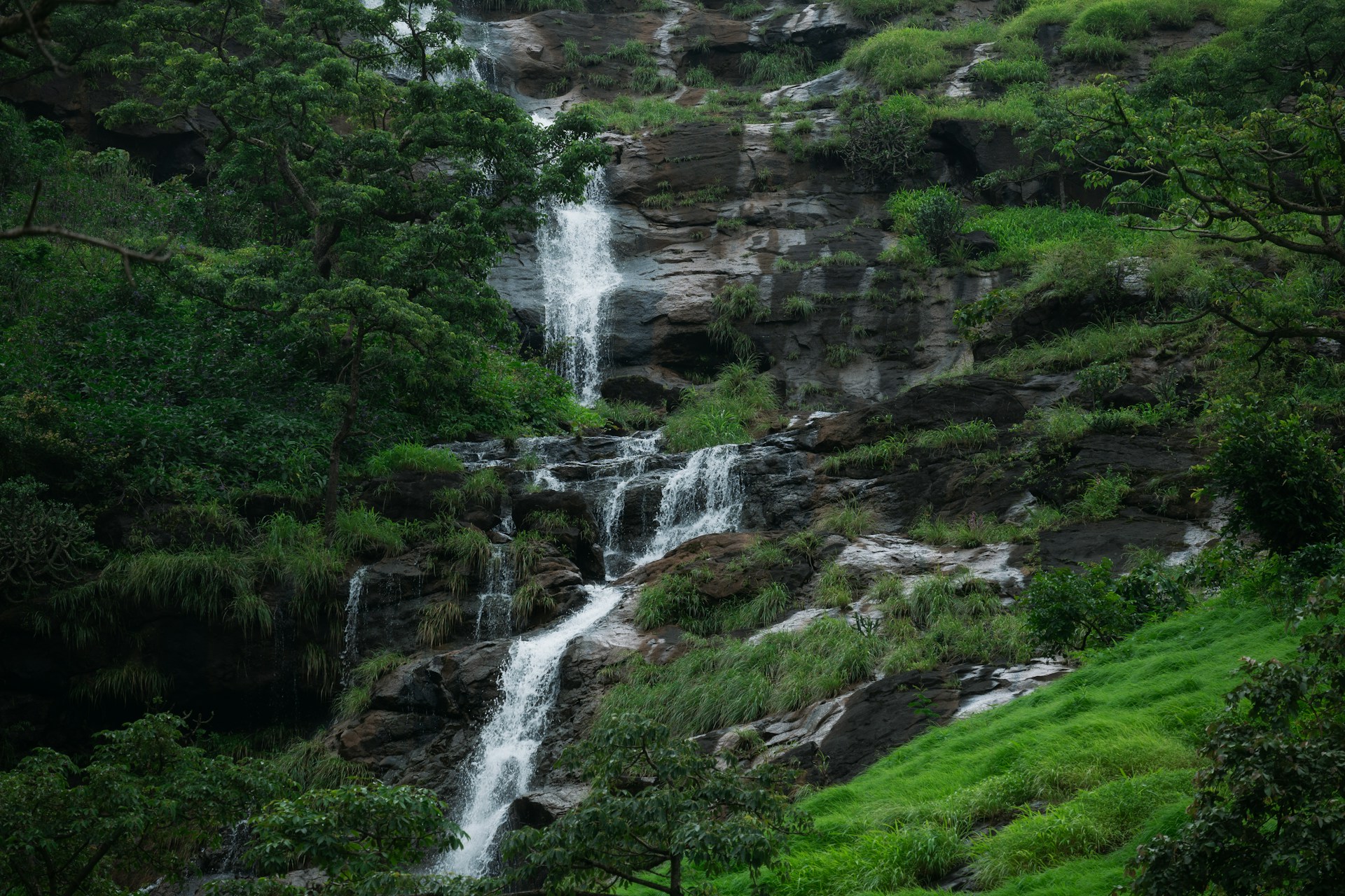 A waterfall in the middle of a lush green forest