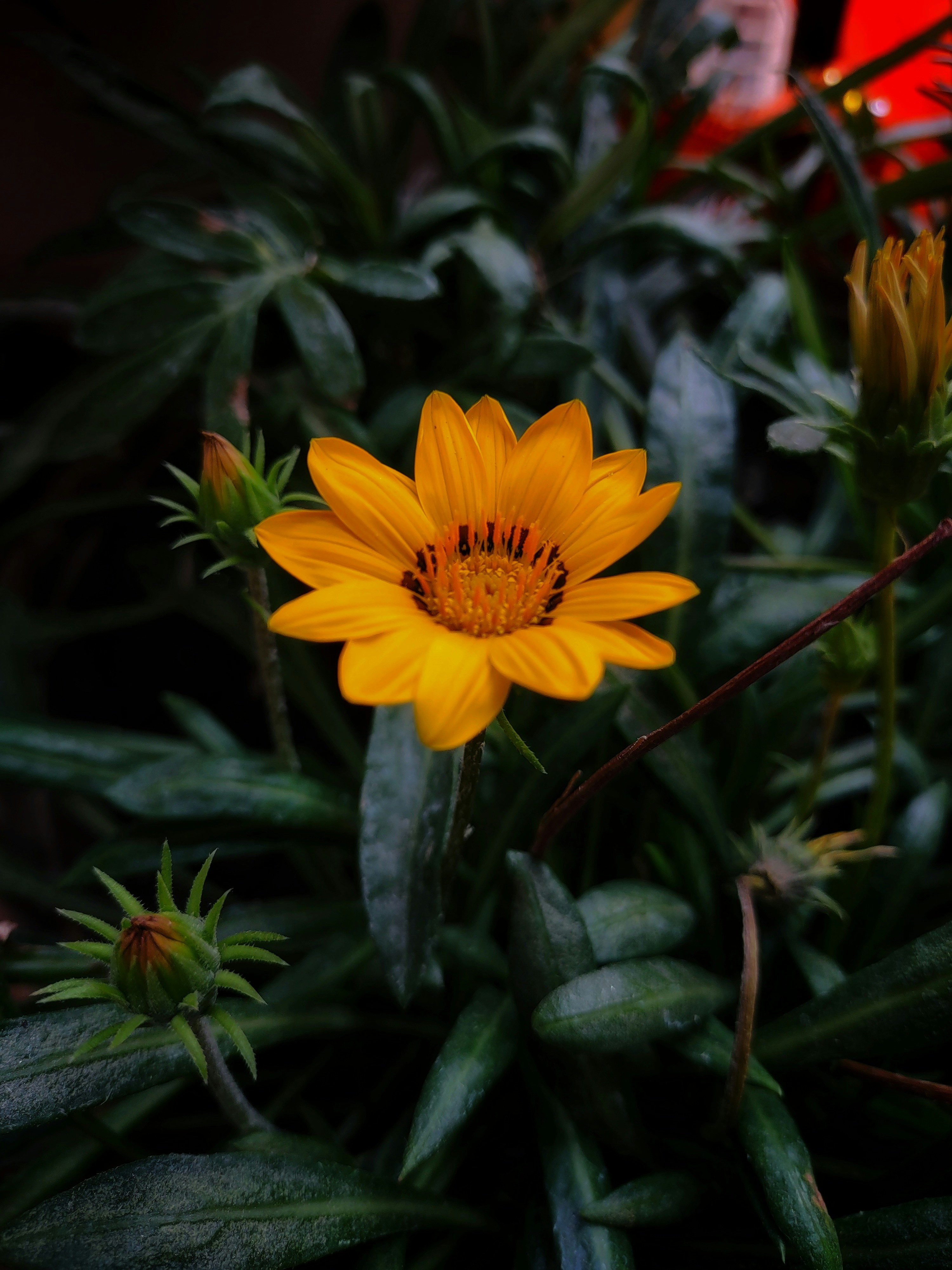 Photo by ishan_srivastava