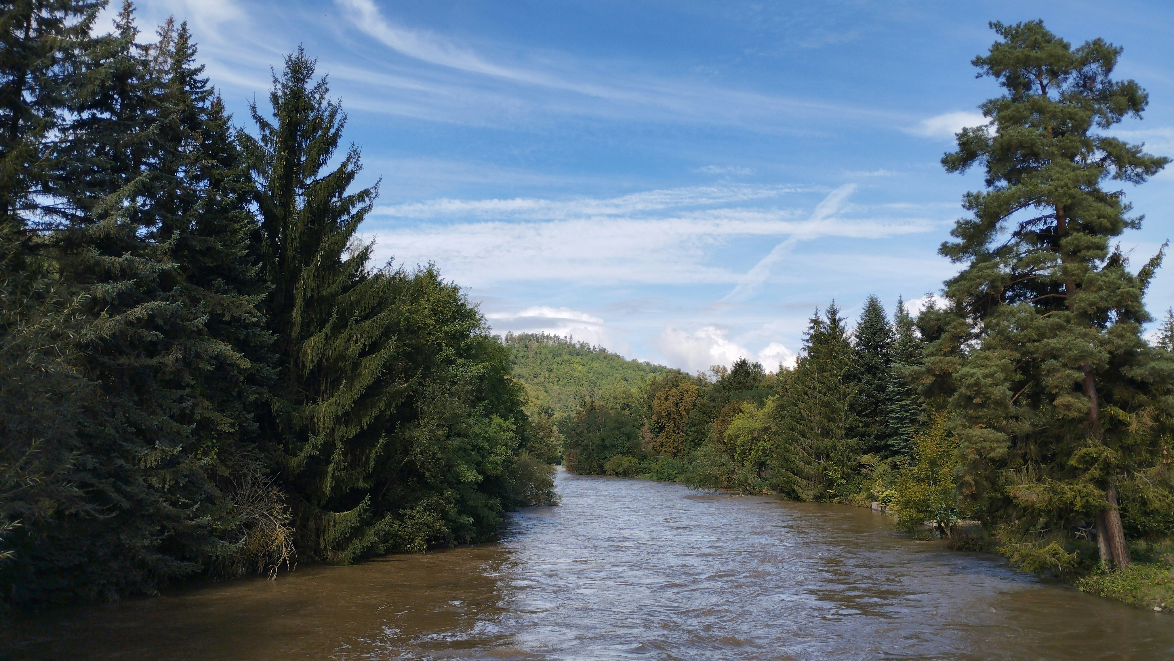 A river running through a lush green forest
