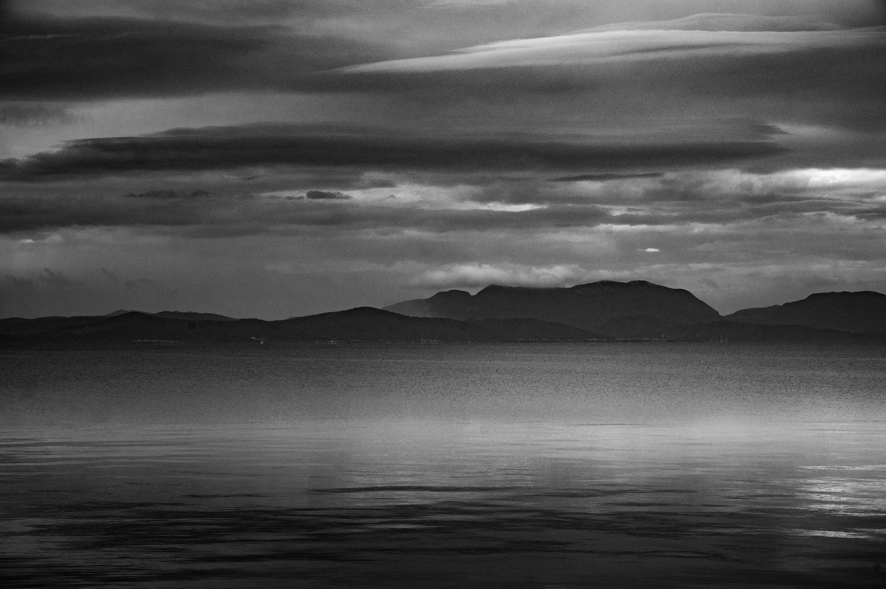 Photo by vincent_tint