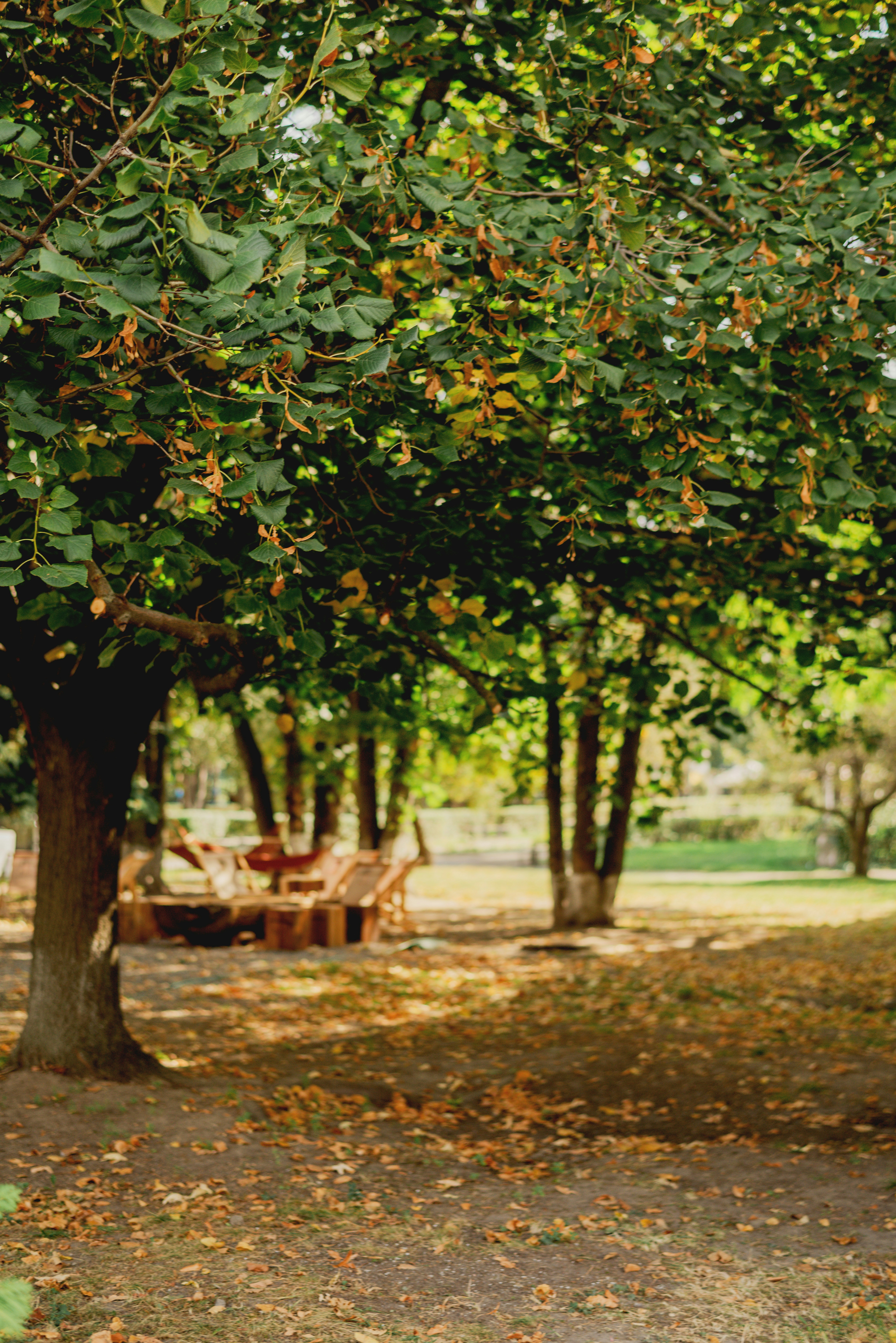 Photo by eugenivy_now