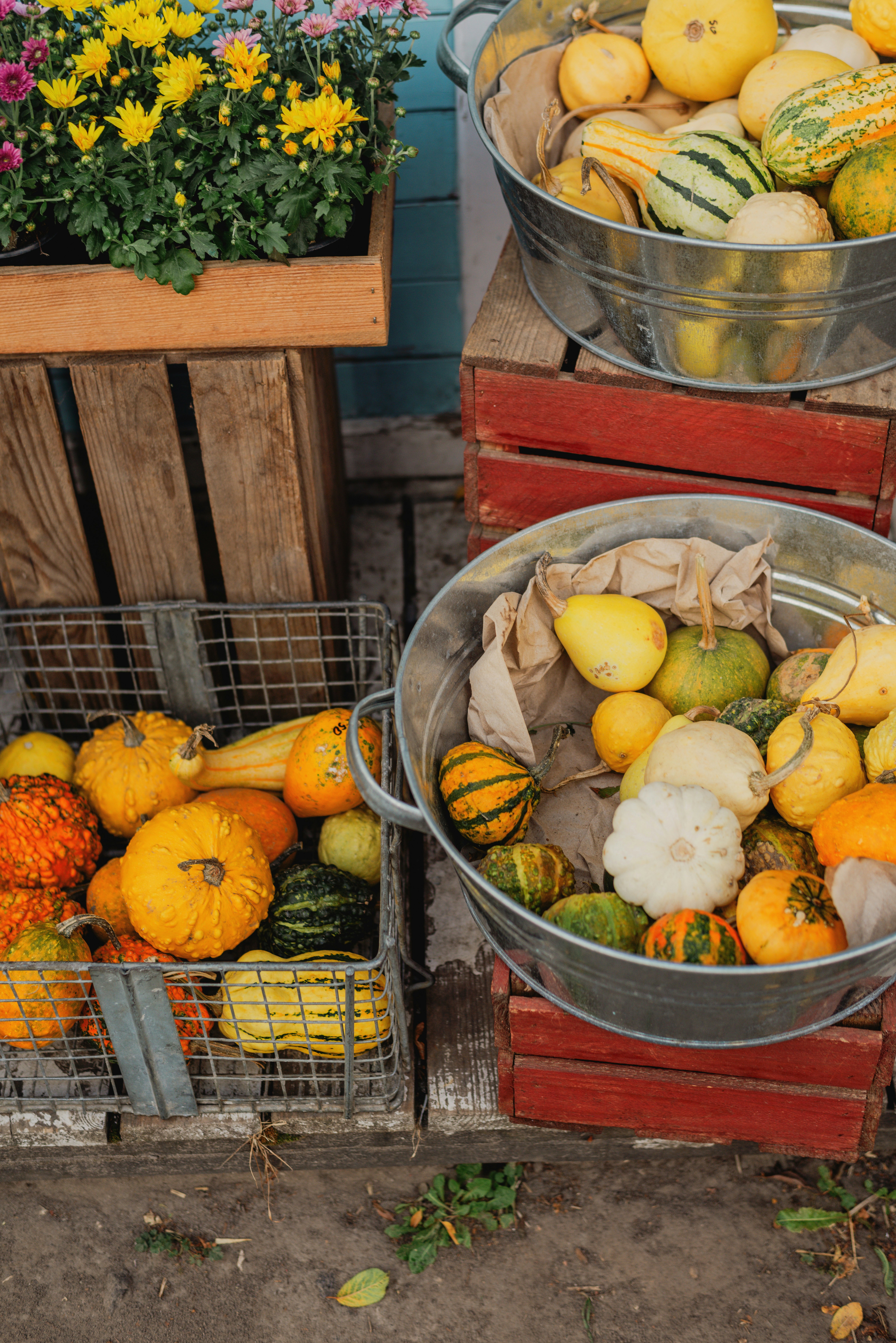 A couple of buckets filled with lots of fruit