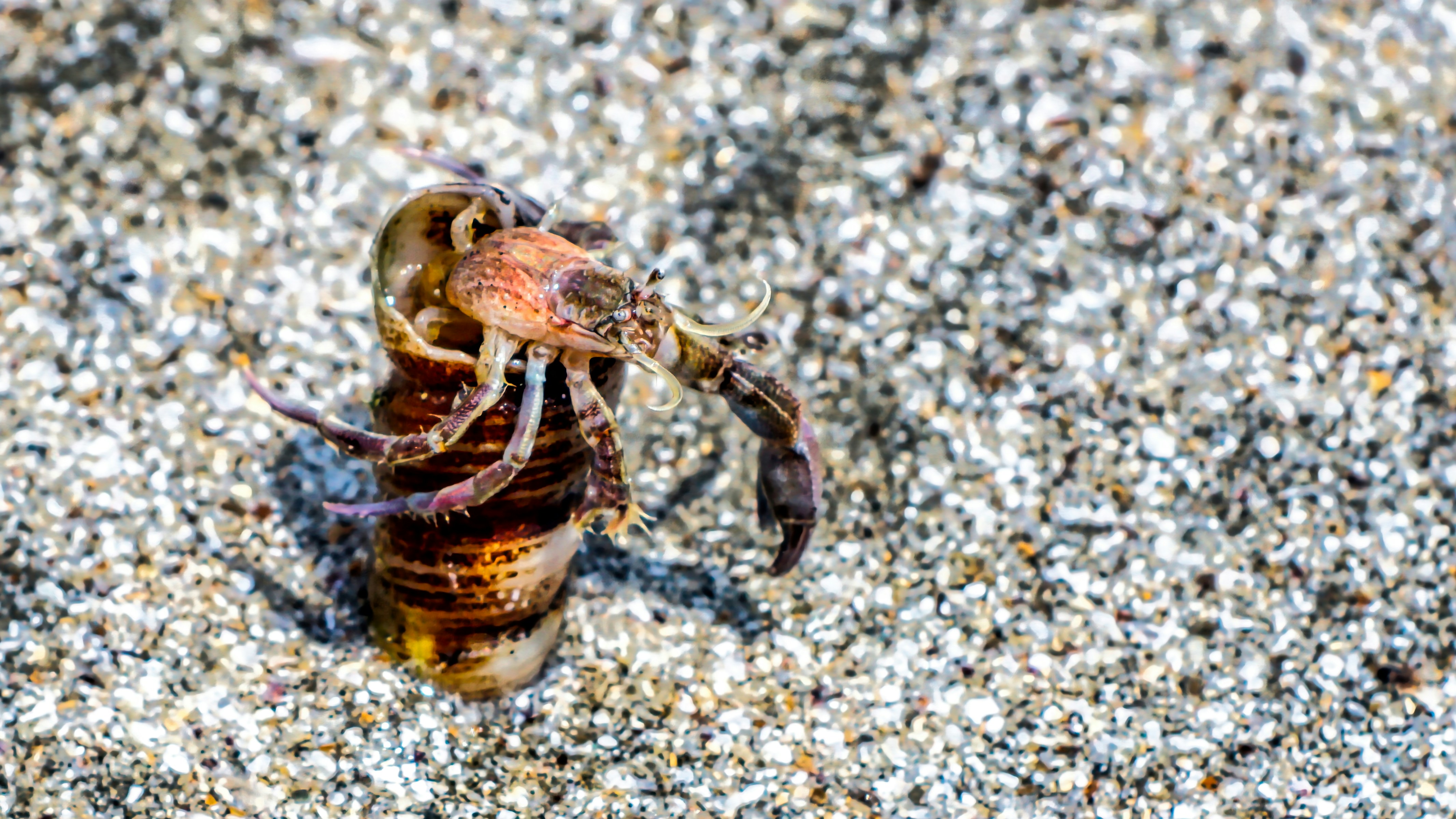 Photo by thomaskinto