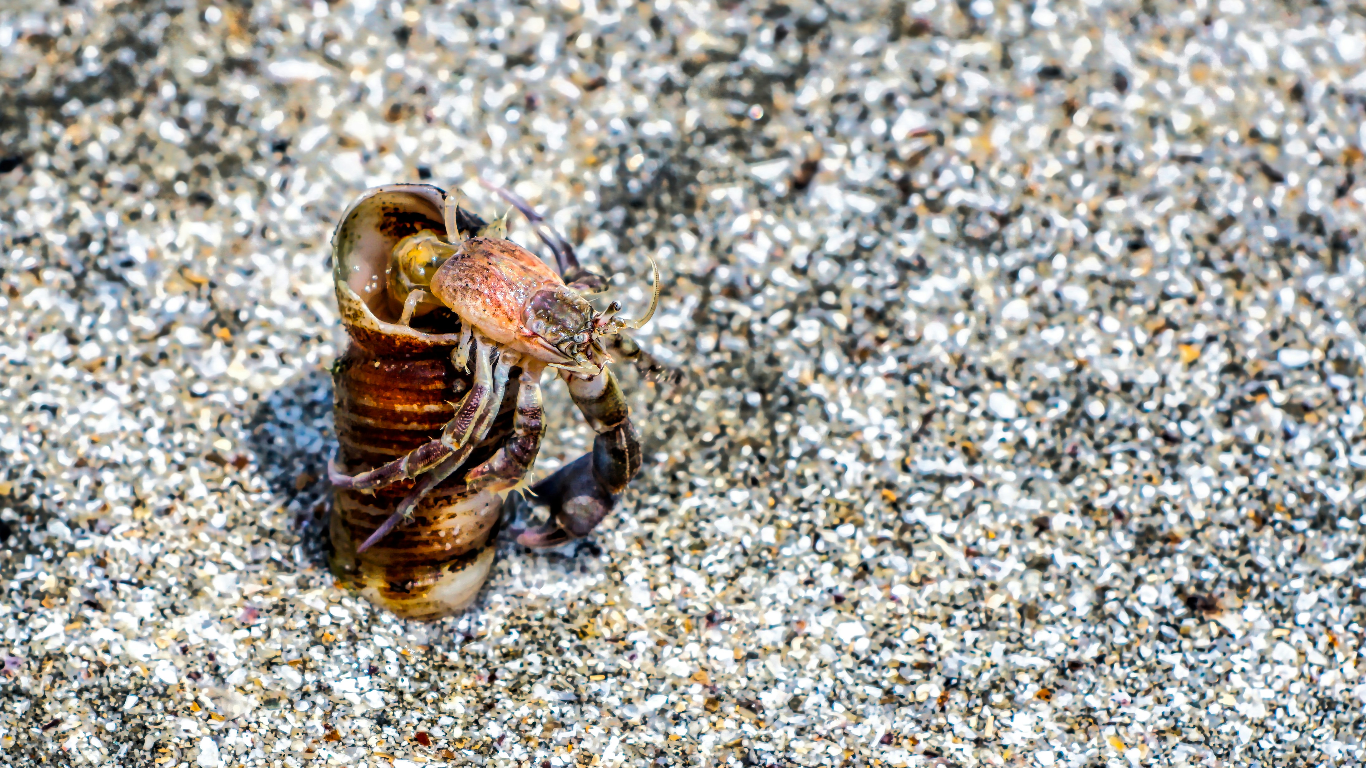 Photo by thomaskinto