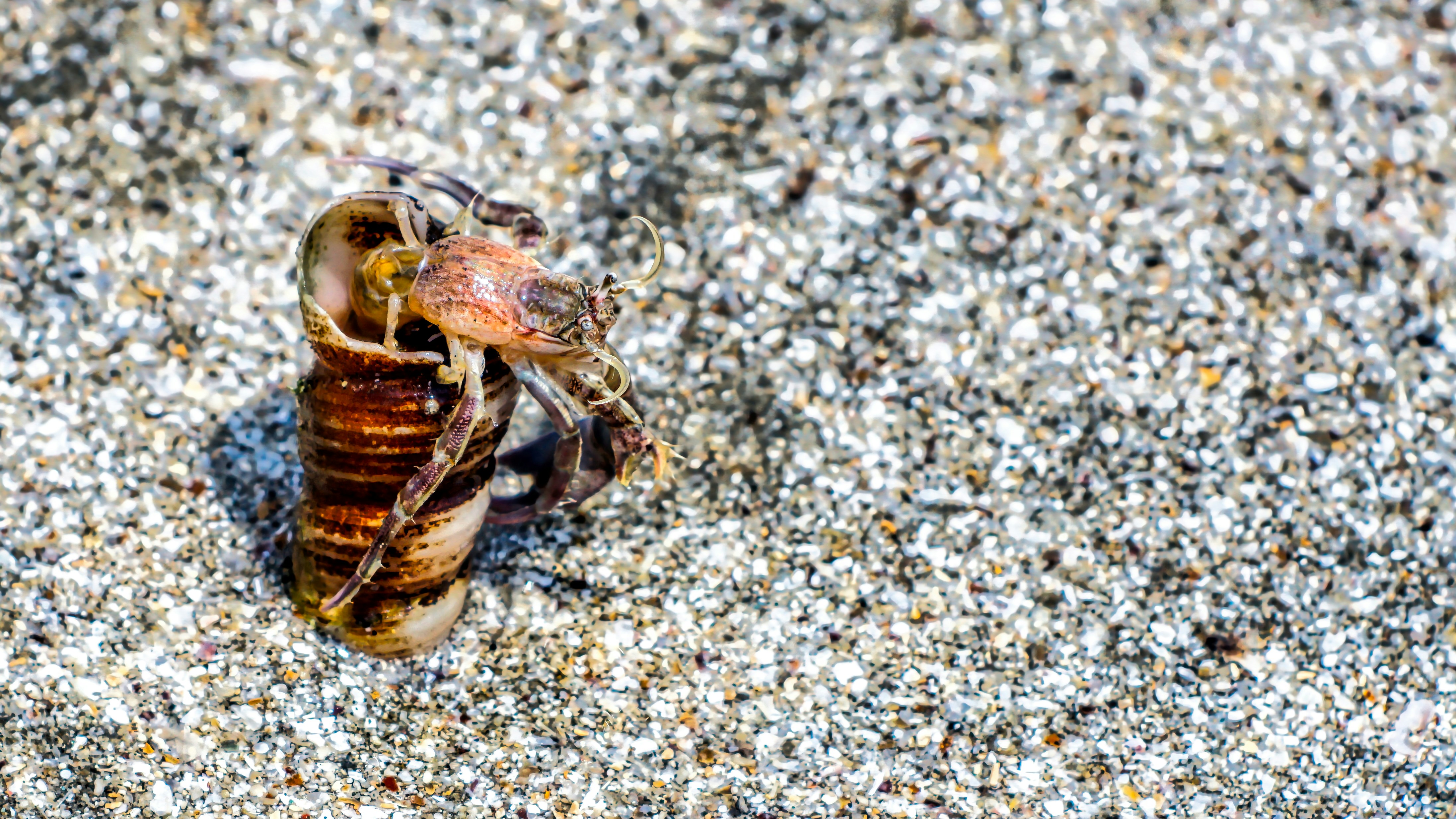 Photo by thomaskinto