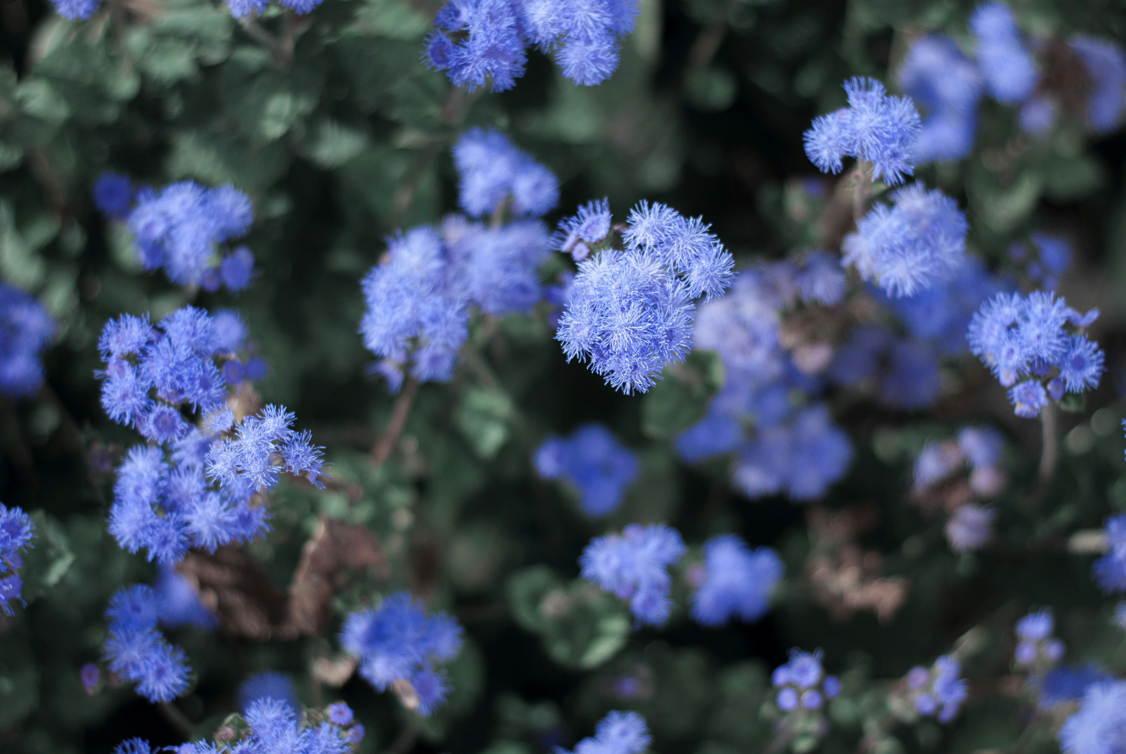 Photo by kovalskihelga