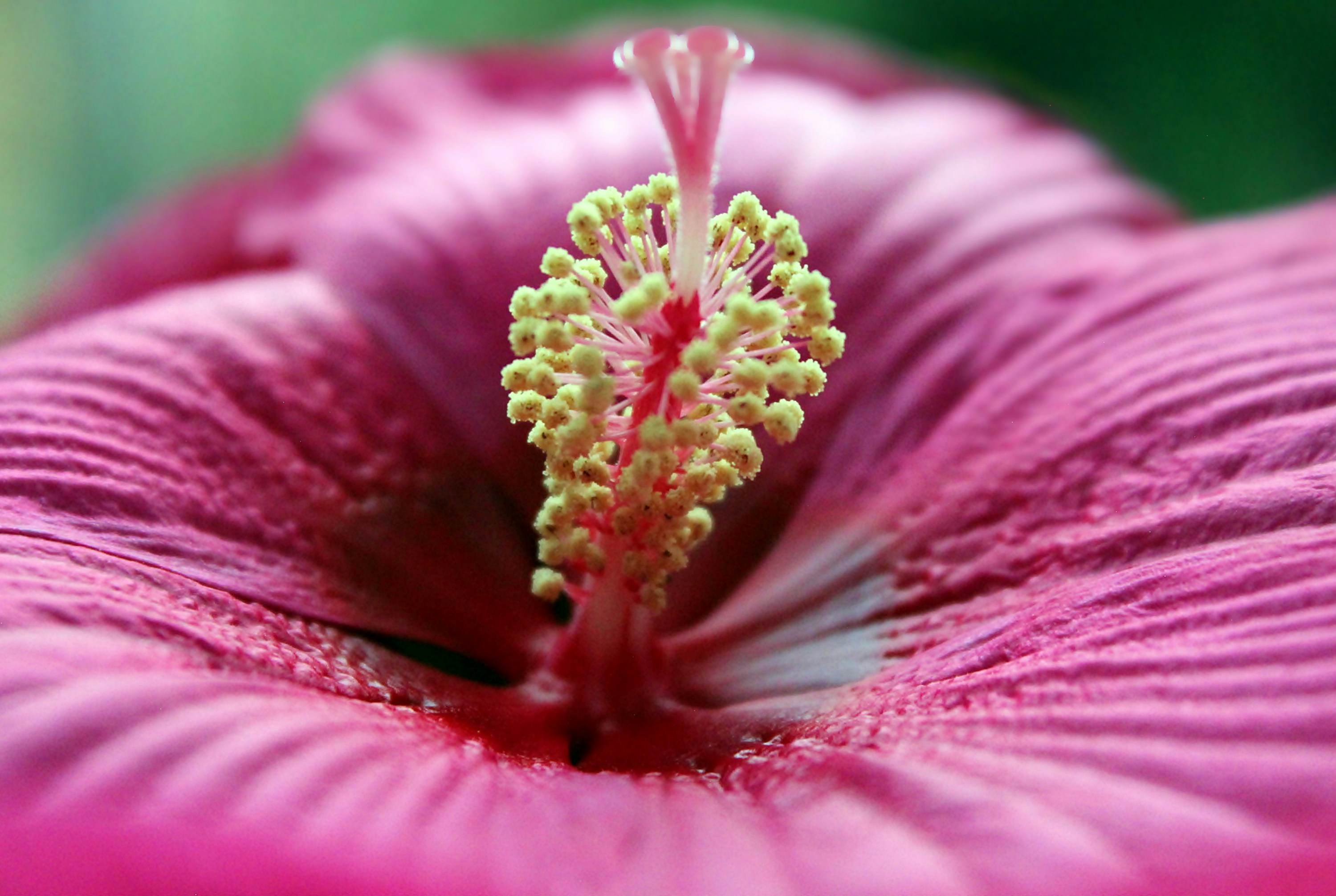 Photo by viewsofthecamera