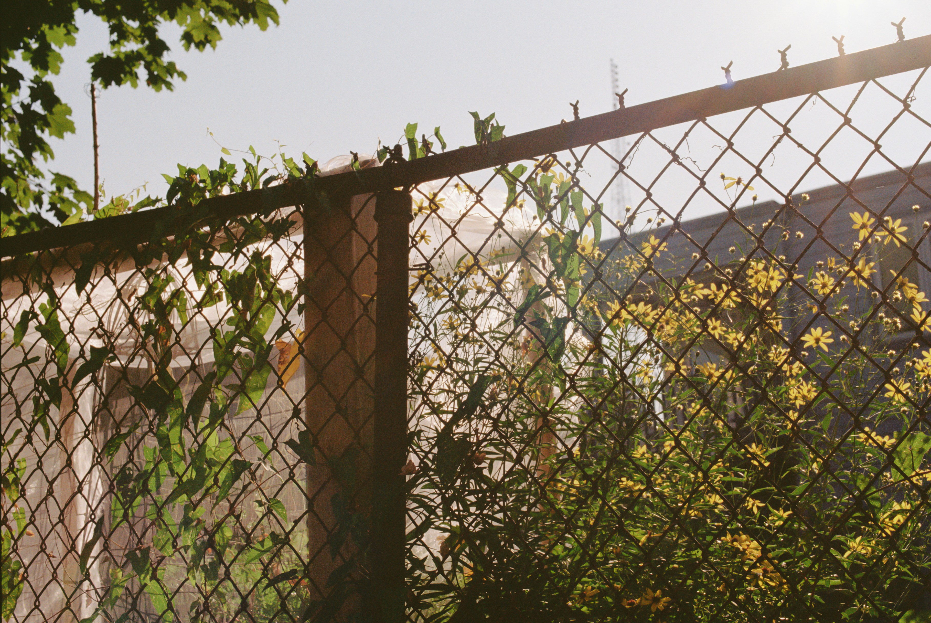 Photo by zhenyao_photo