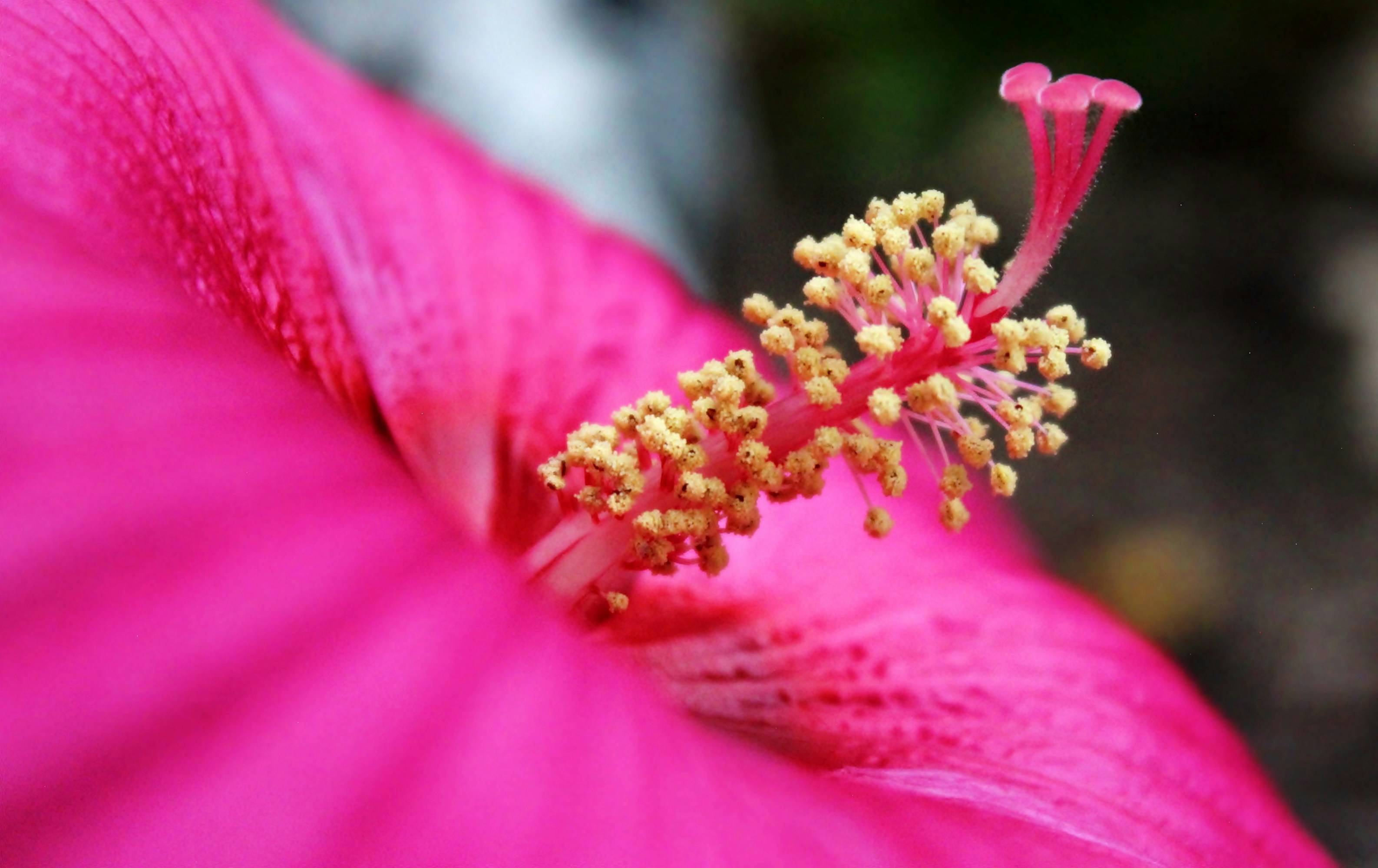 Photo by viewsofthecamera