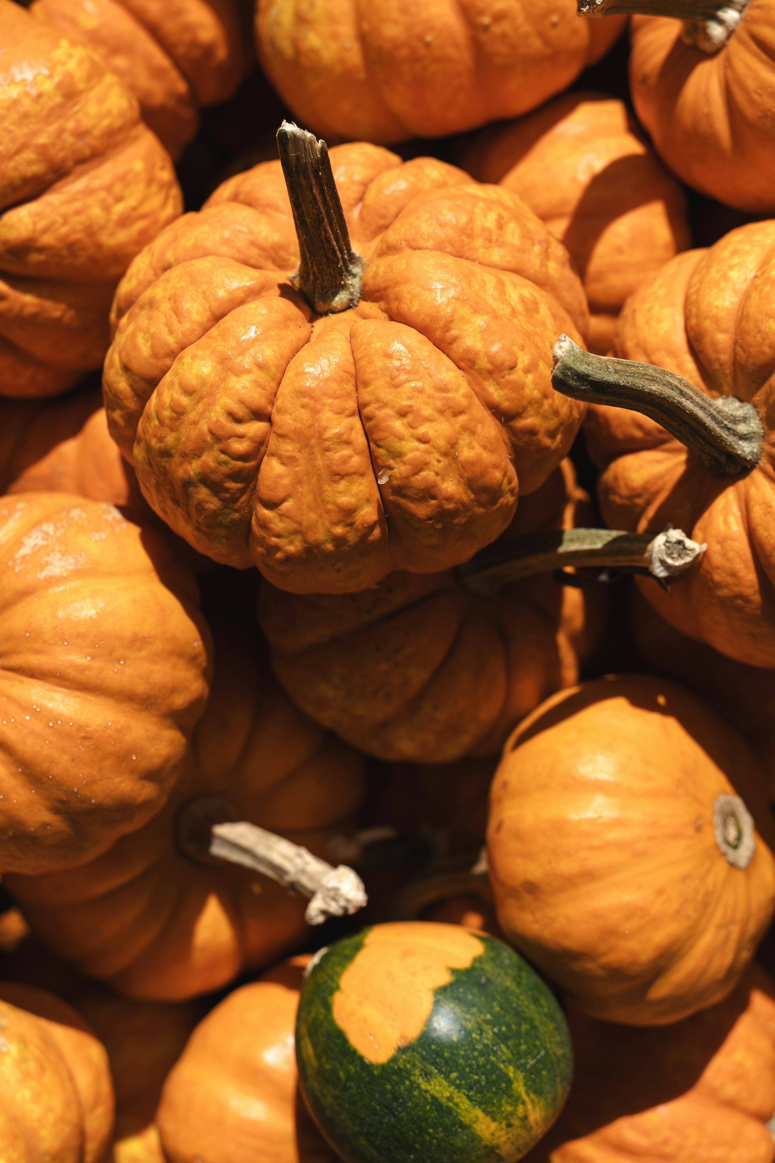 A pile of pumpkins sitting next to each other