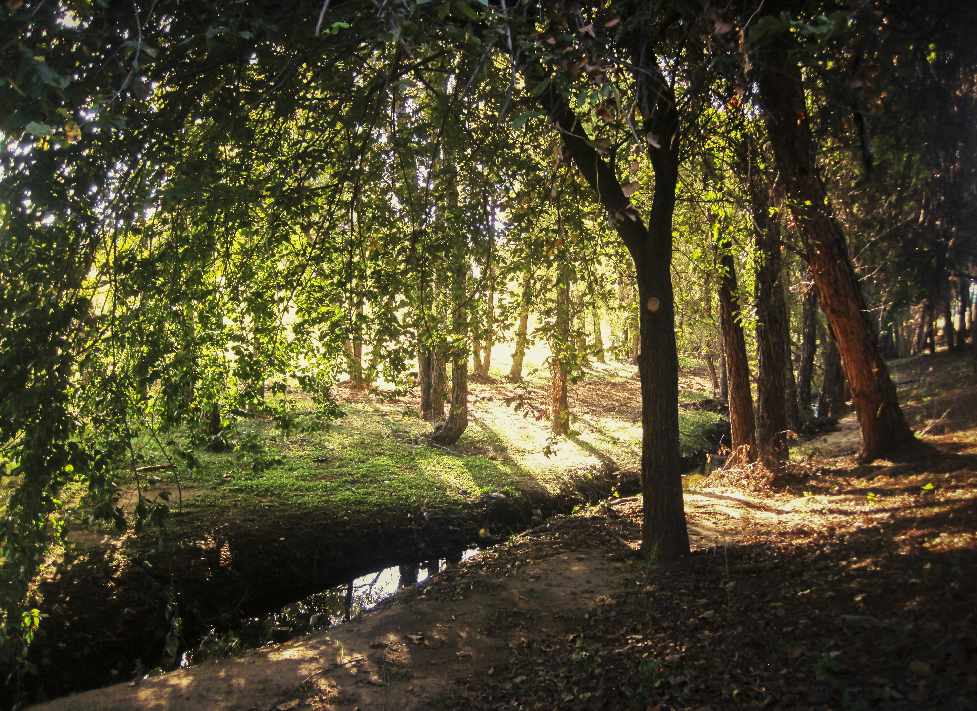 Photo by glorialiucreative