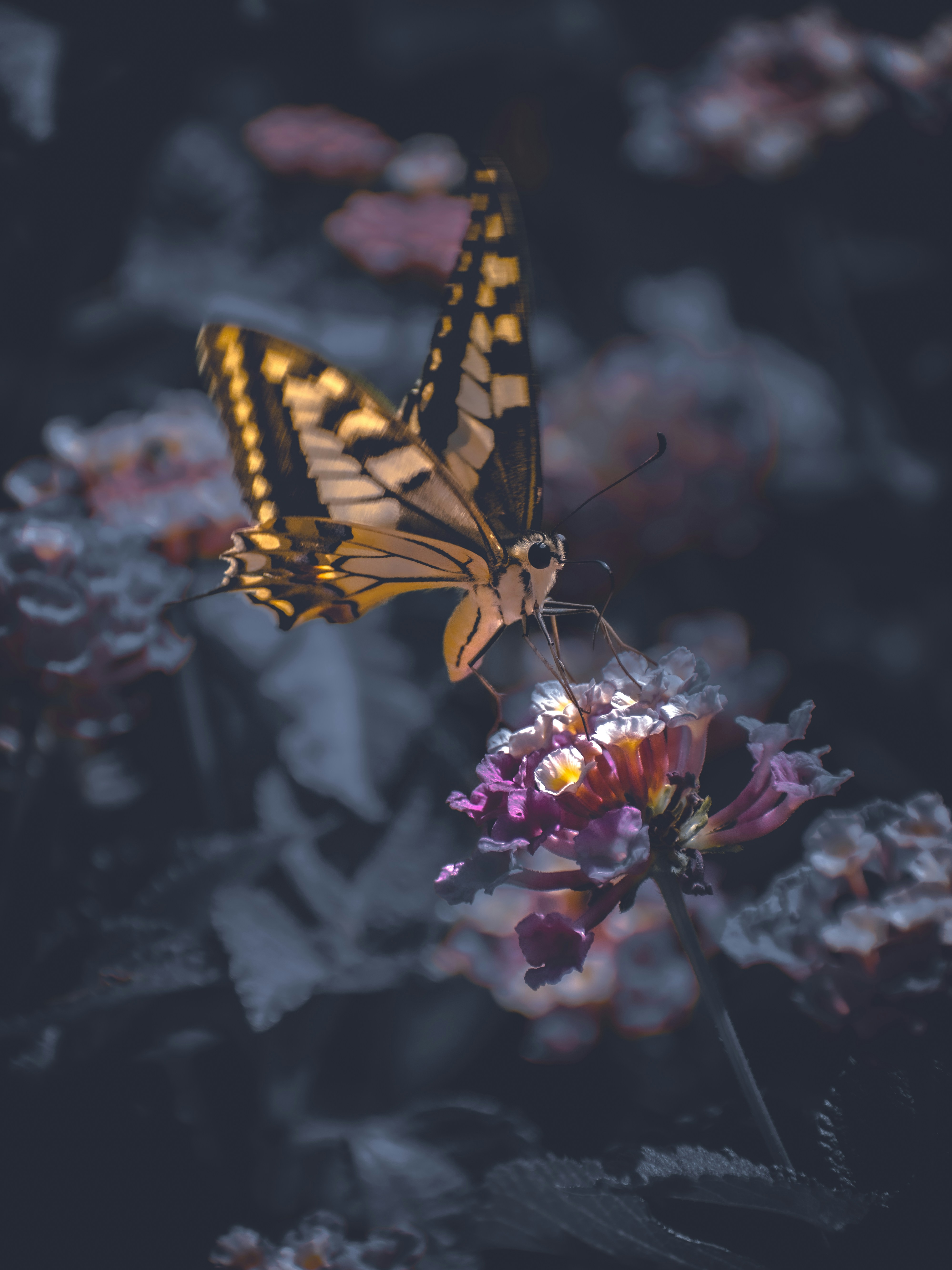 Photo by alcapital