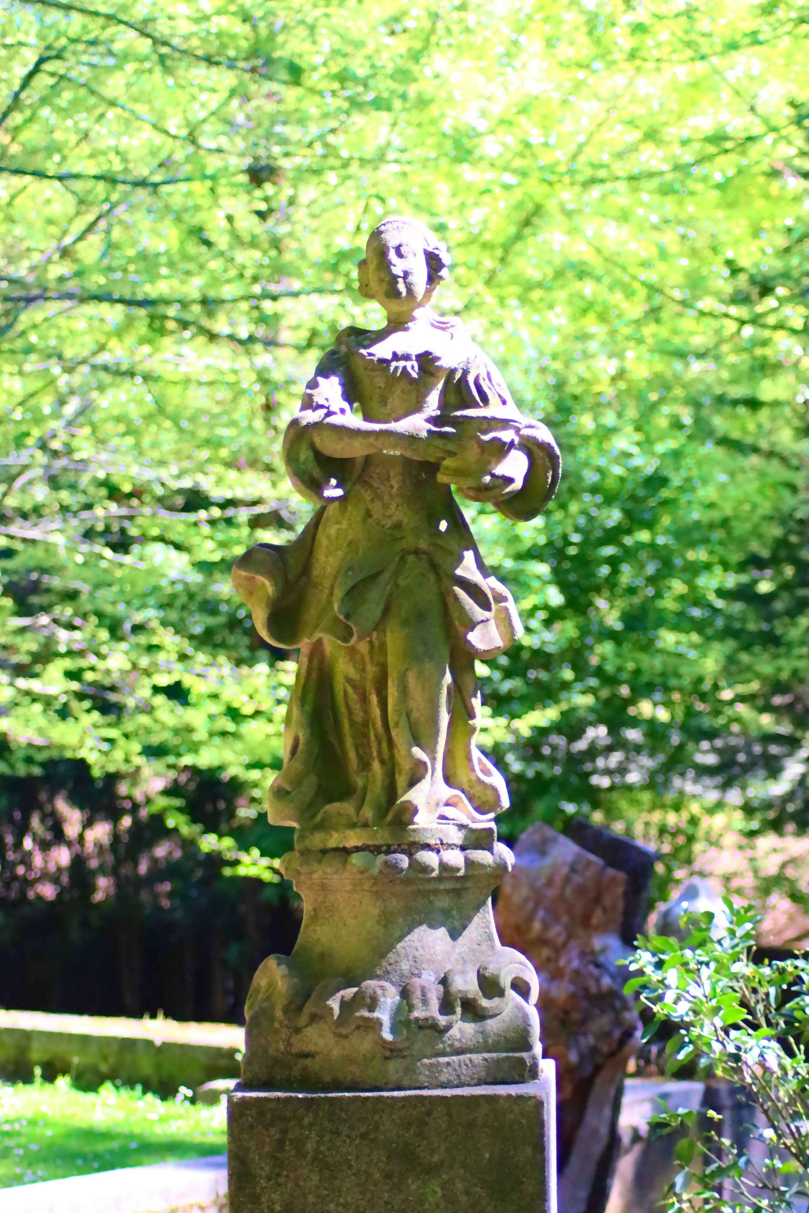 Photo by lfcsfilipesousa