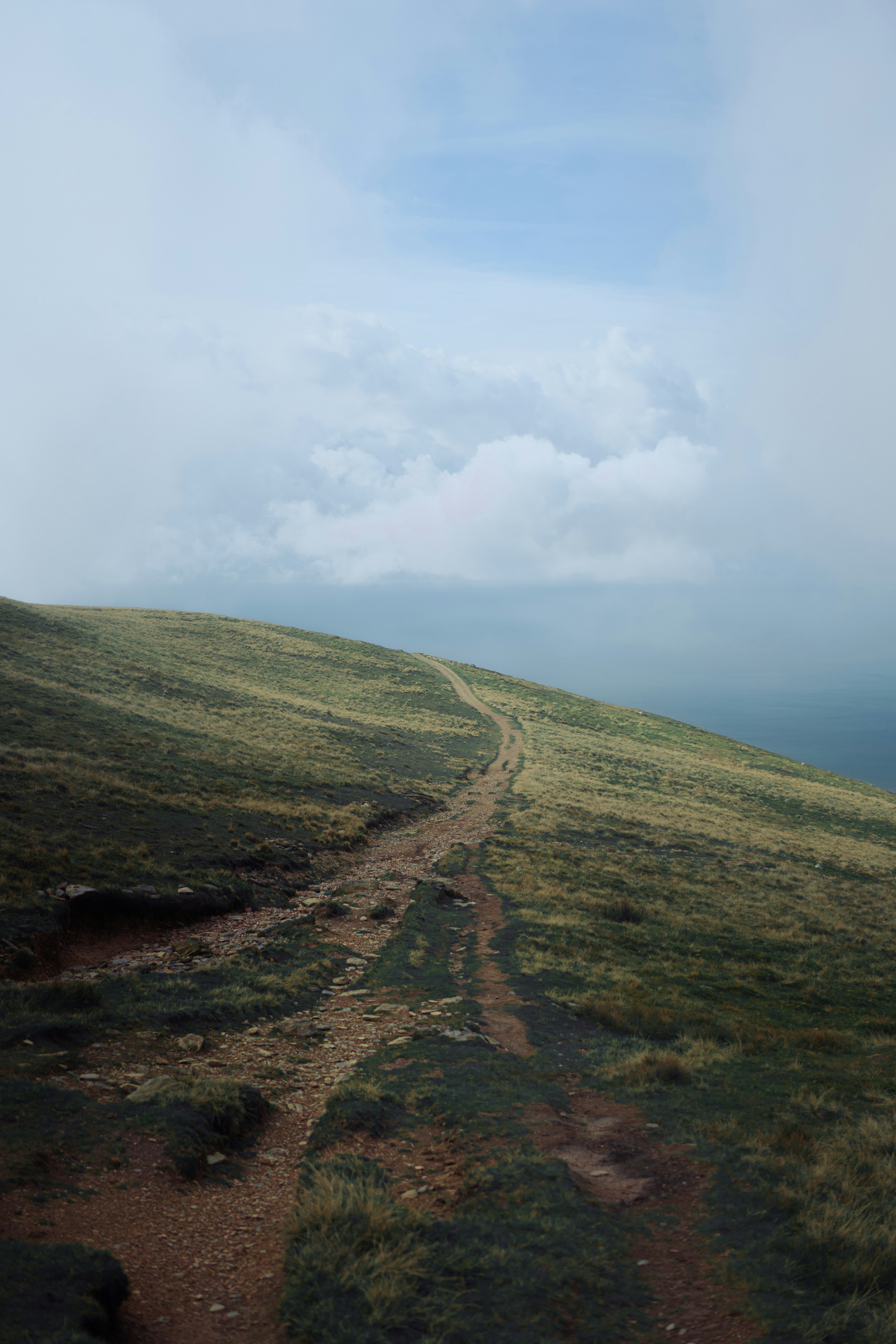 Photo by alexisnthere_