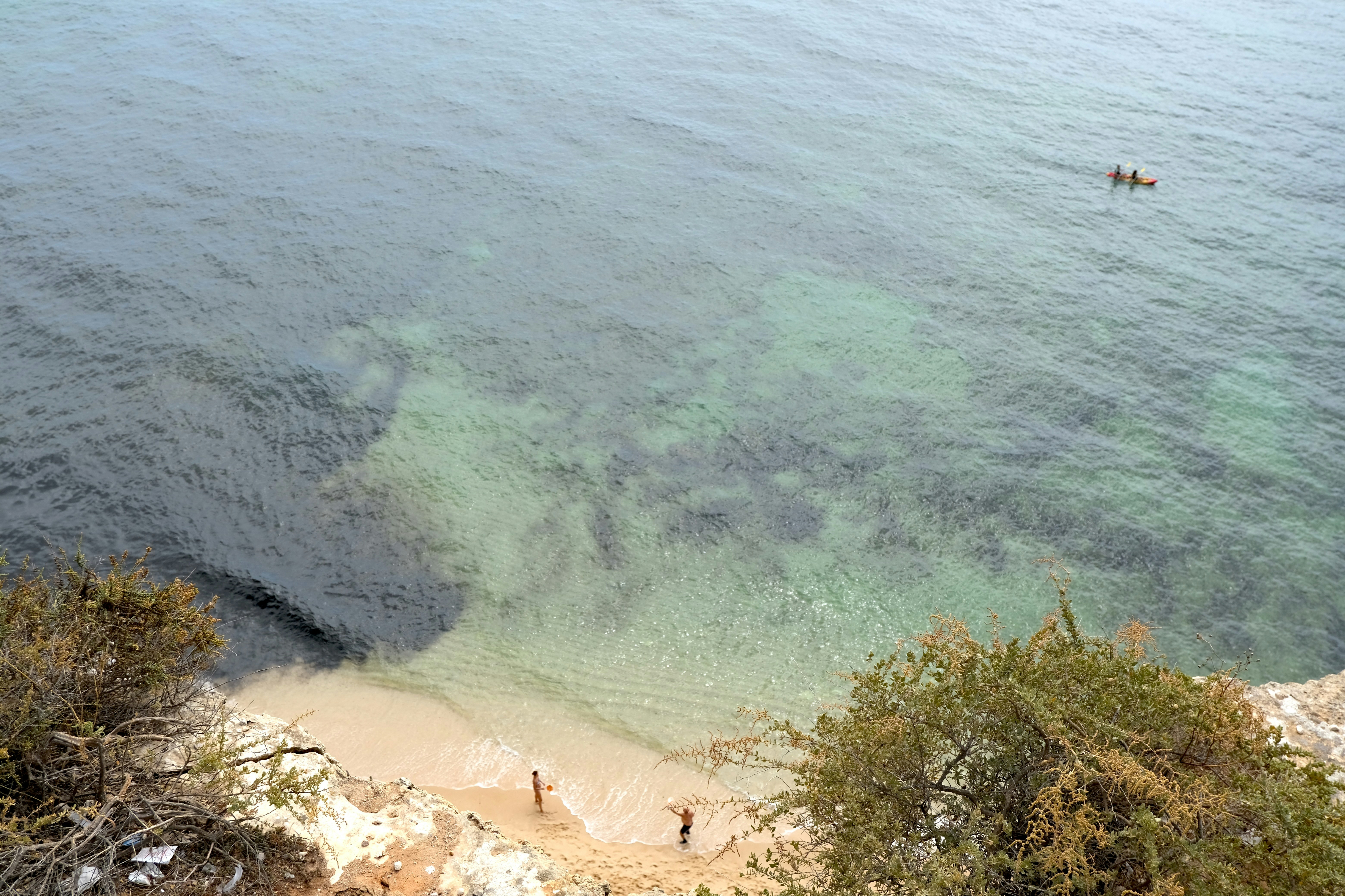 Un groupe de personnes debout au sommet d’une plage à côté de l’océan