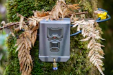 A power box attached to a tree in a forest
