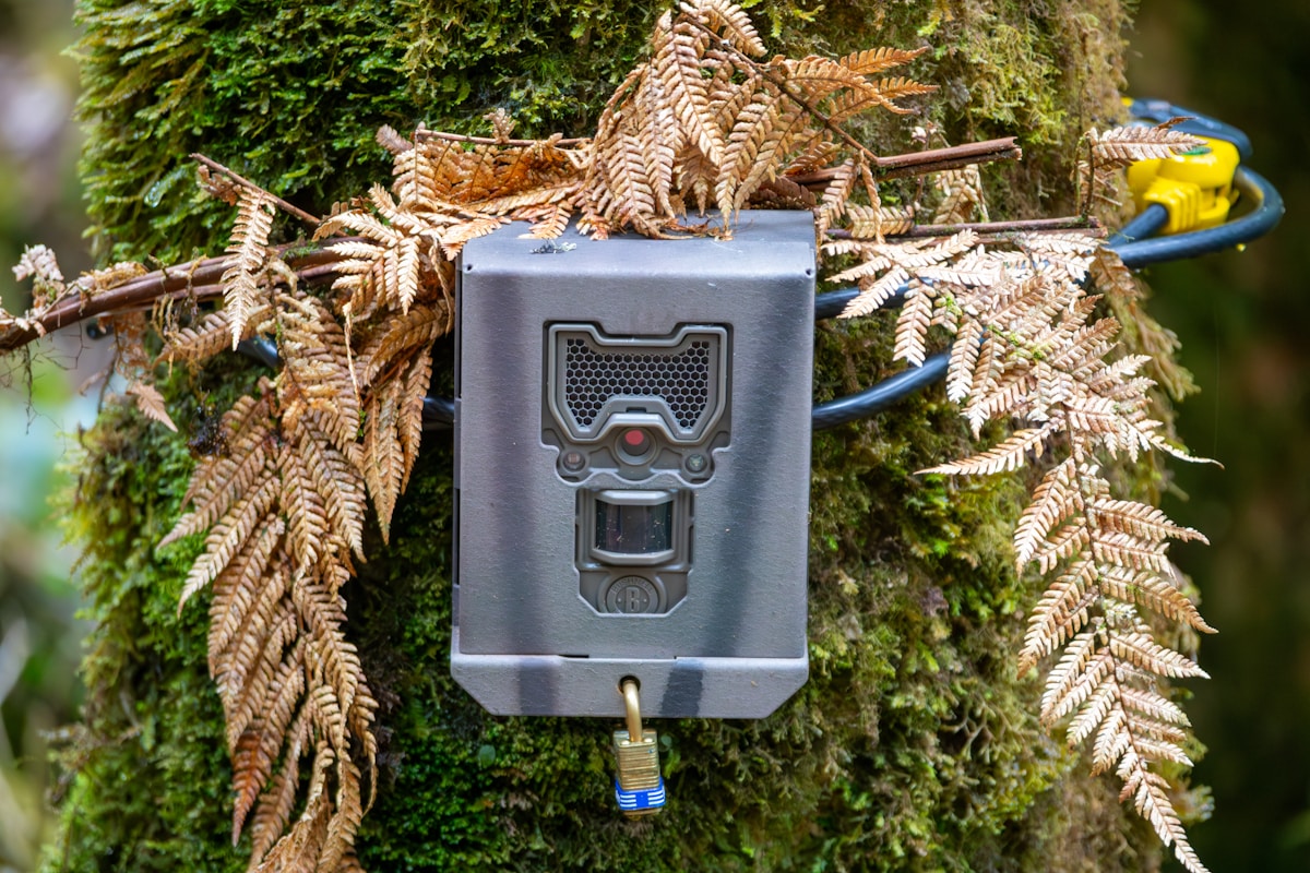 general related image for: Tech4Nature Explores Technology's Role in Conservation