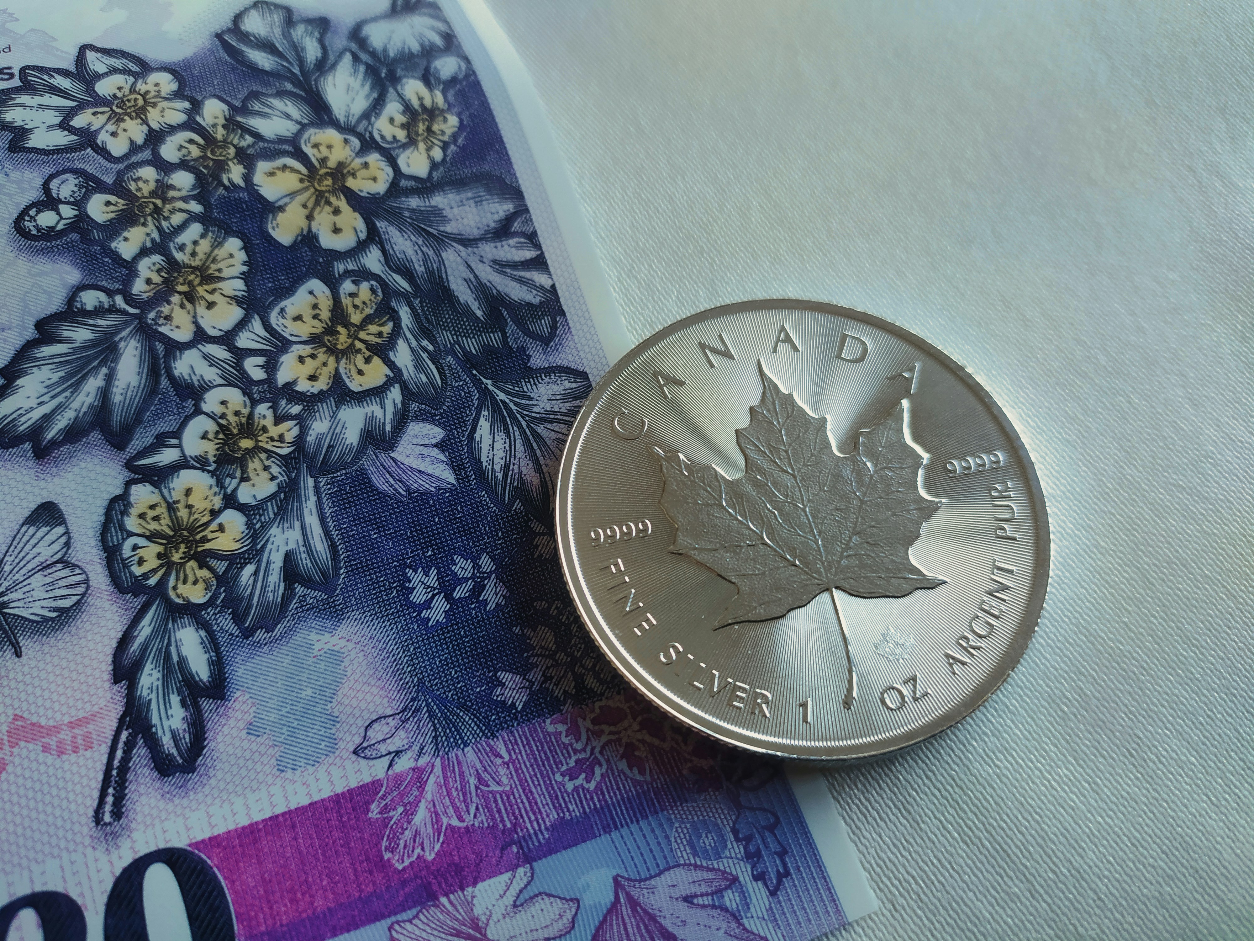 A 1 Oz silver coin from Canada