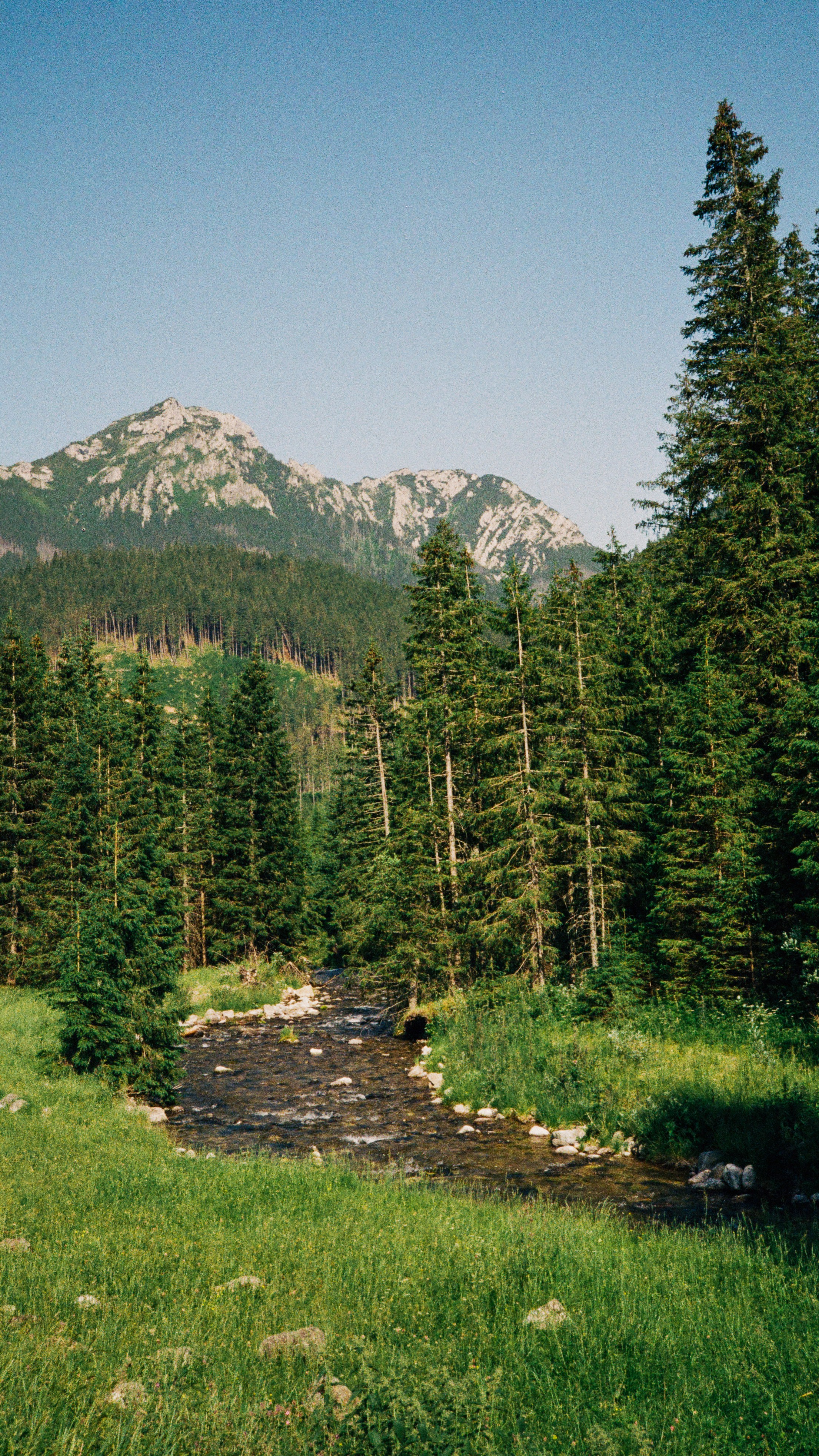 Photo by juliakacalak