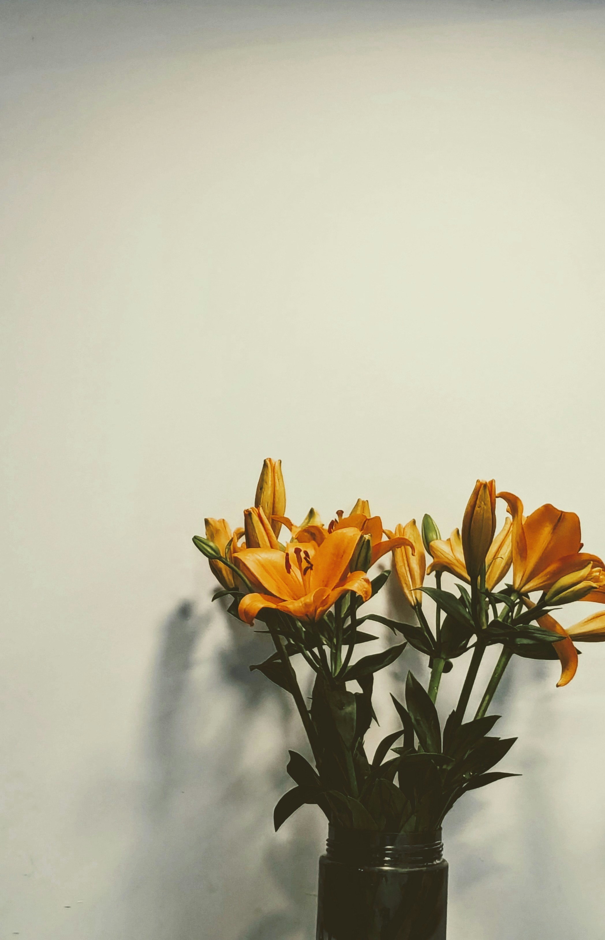 Photo by merlotlipstick