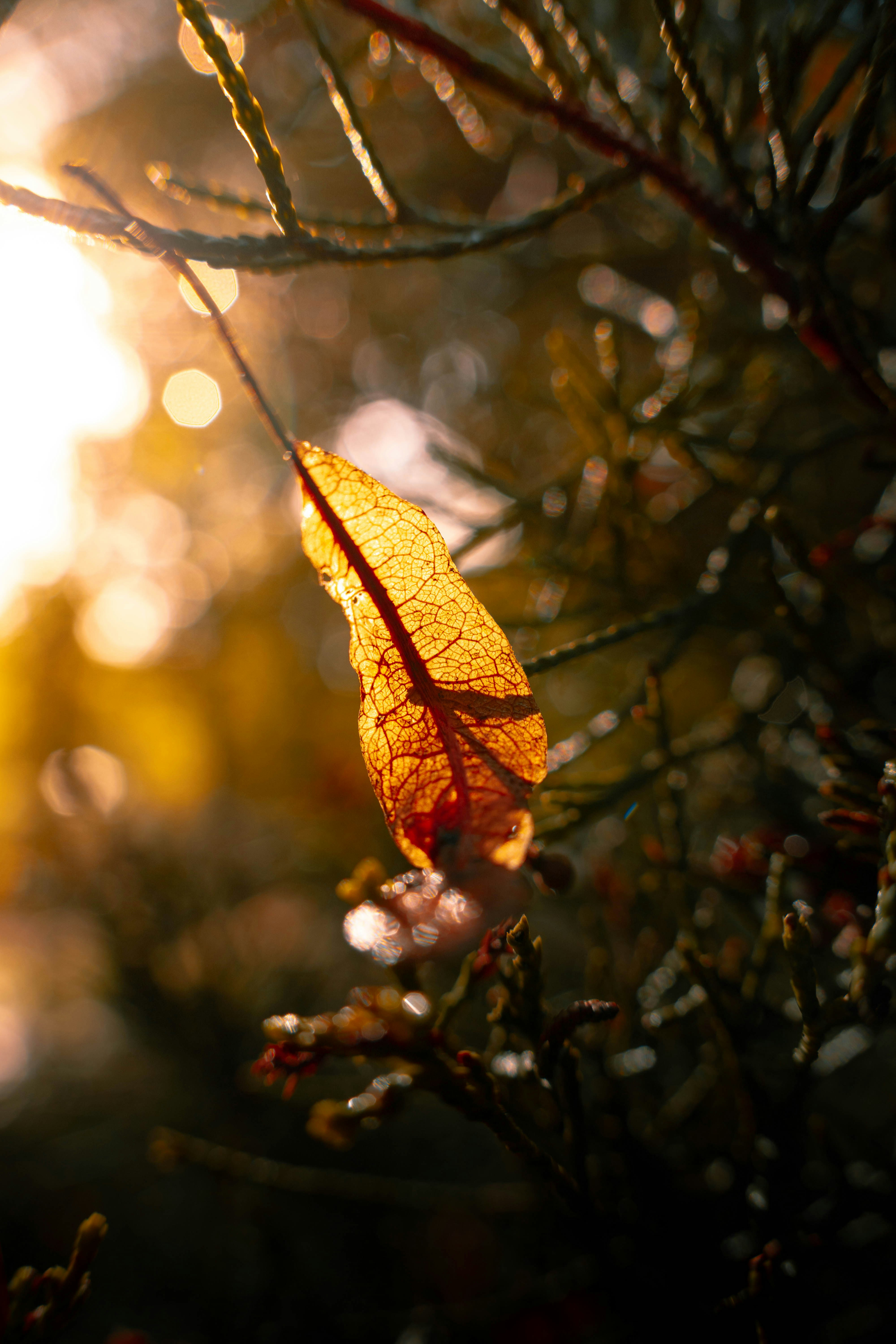 Photo by mykytaborovoi