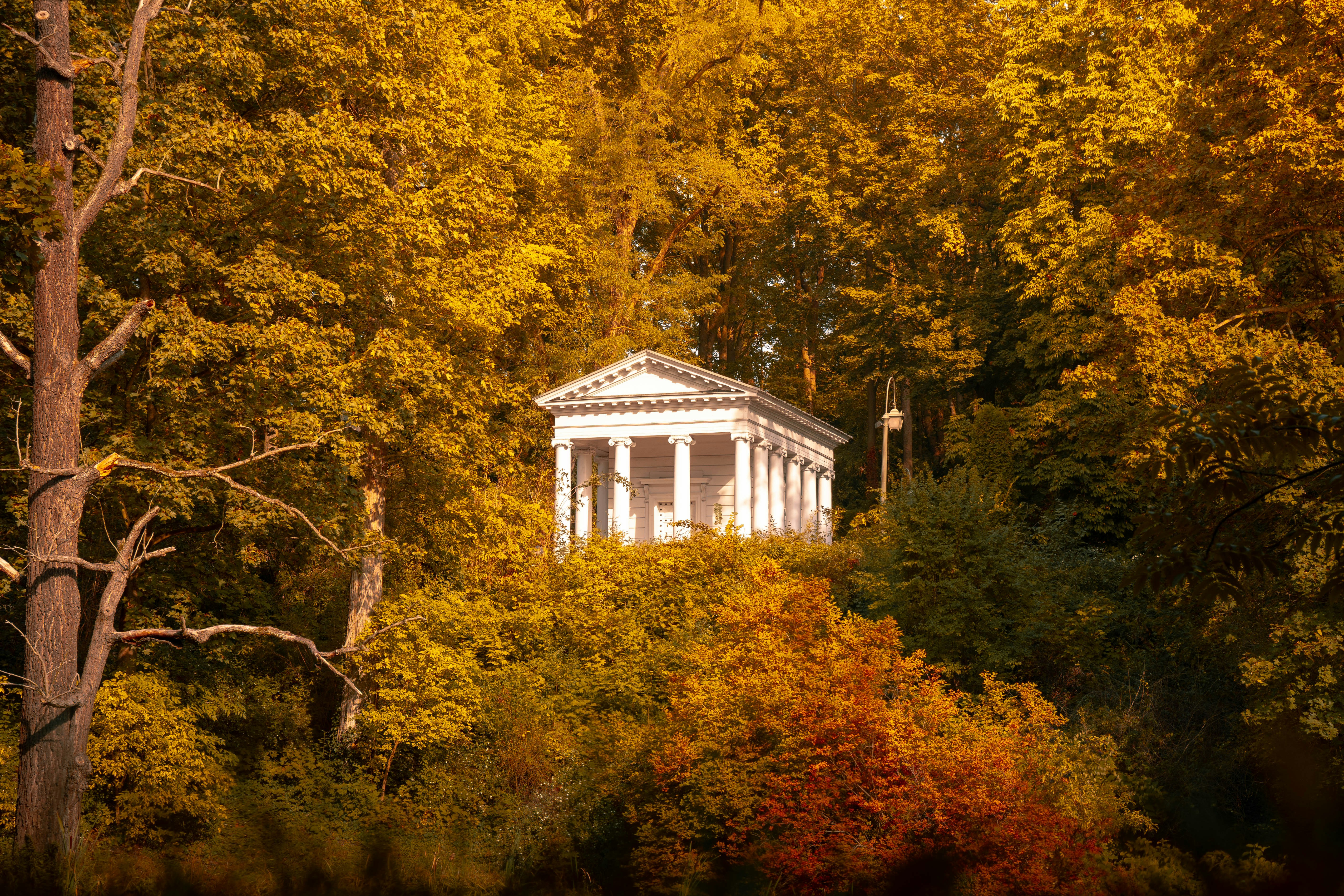 Photo by mykytaborovoi