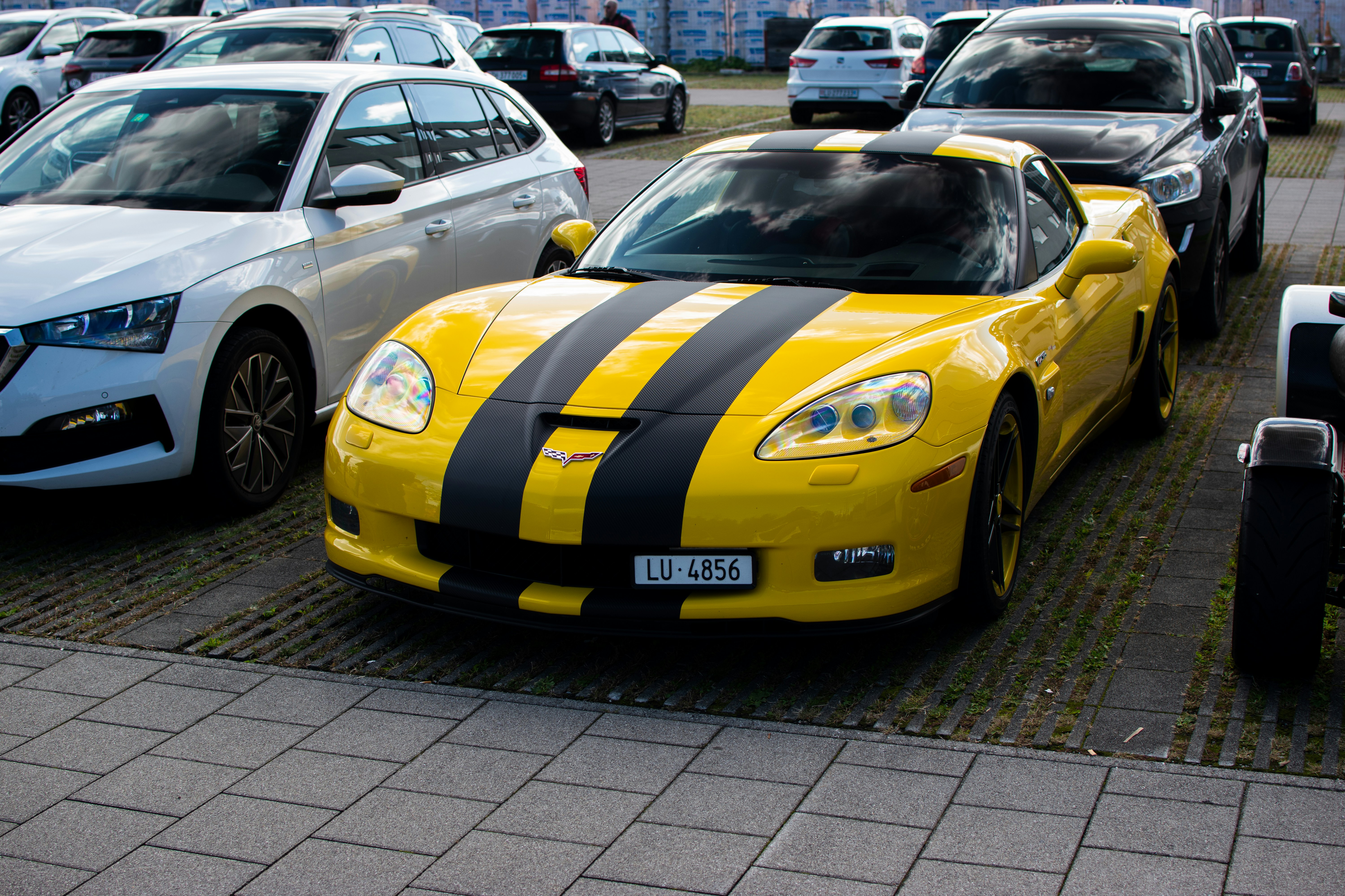 C6