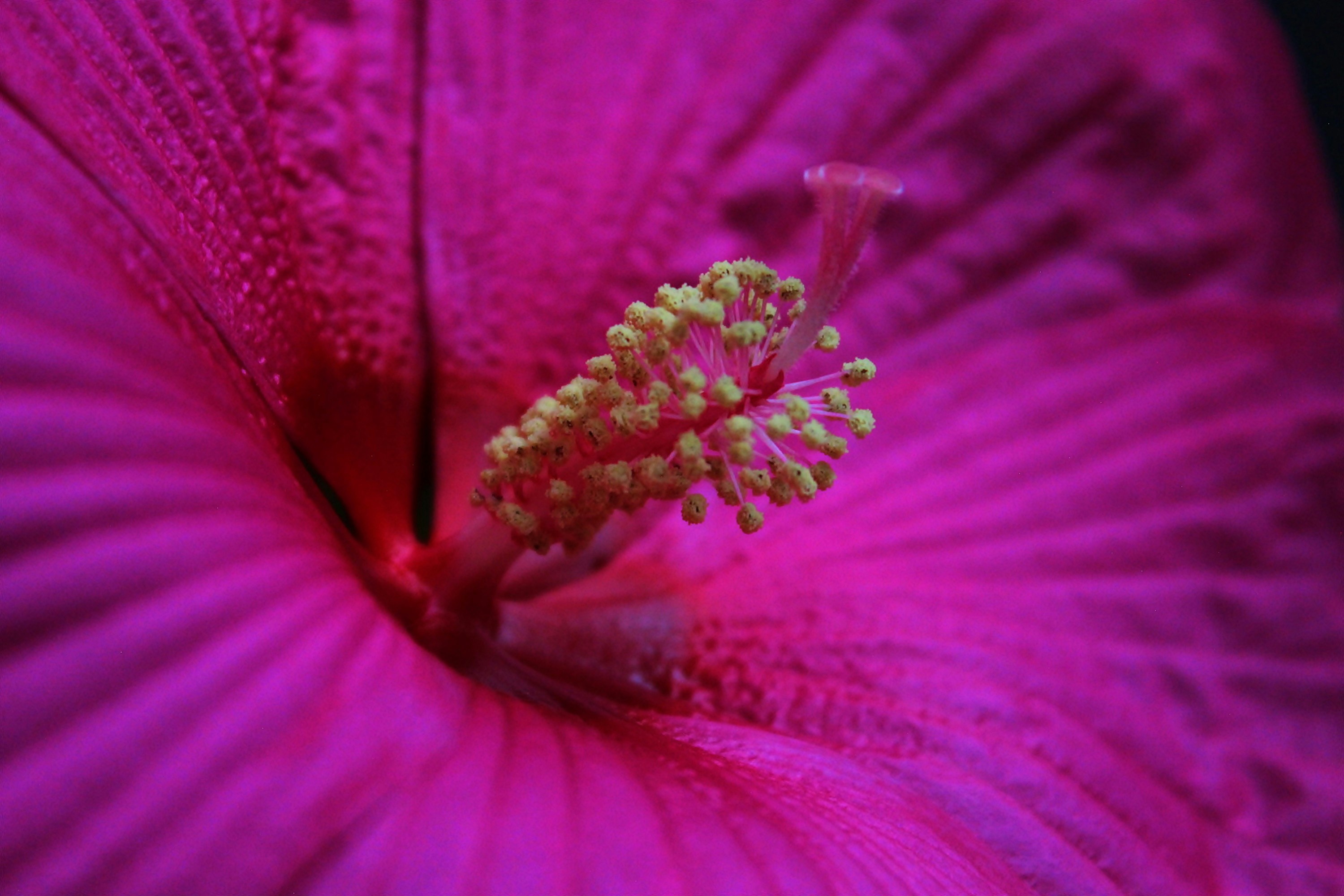 Photo by viewsofthecamera