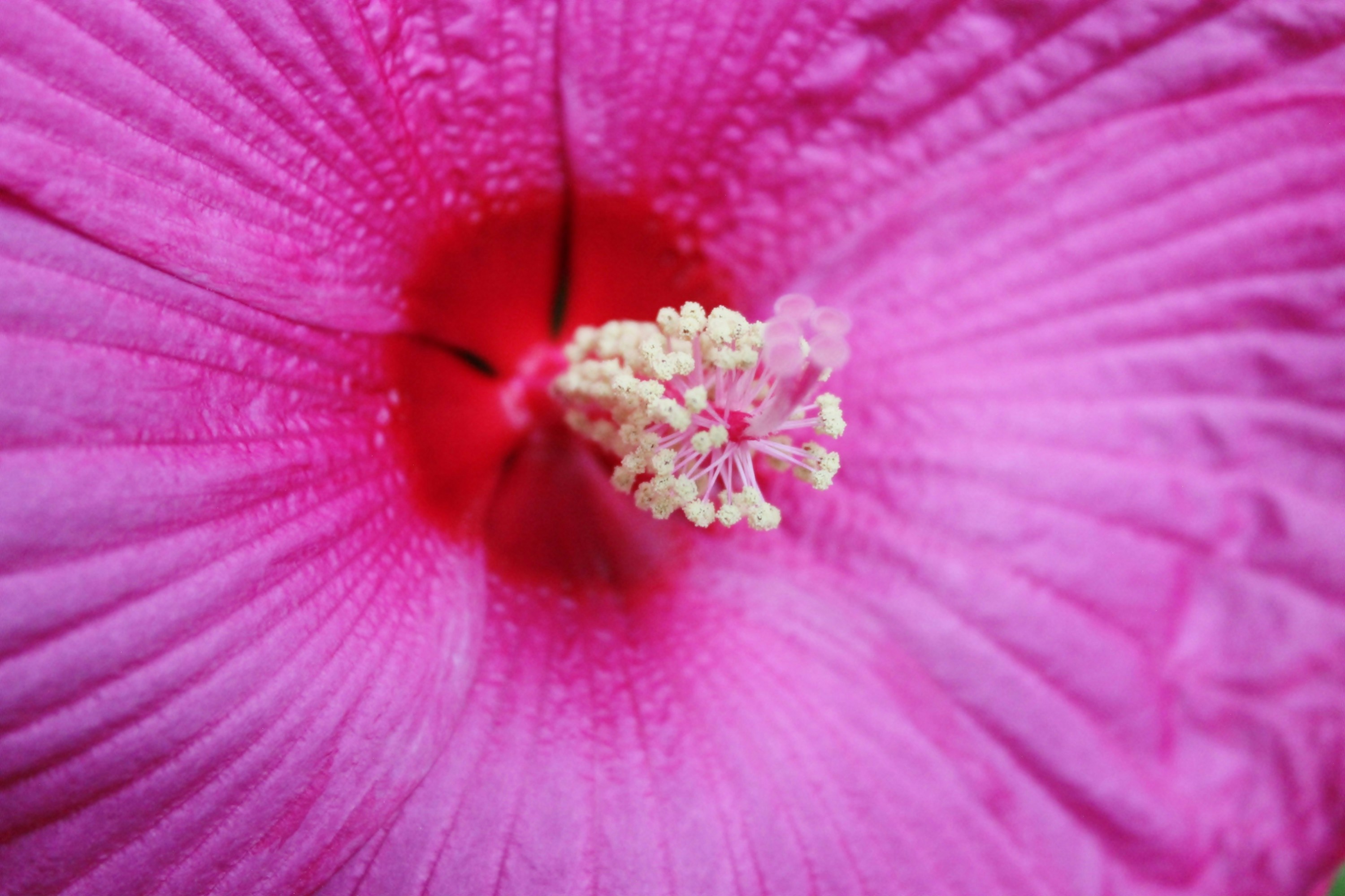 Photo by viewsofthecamera