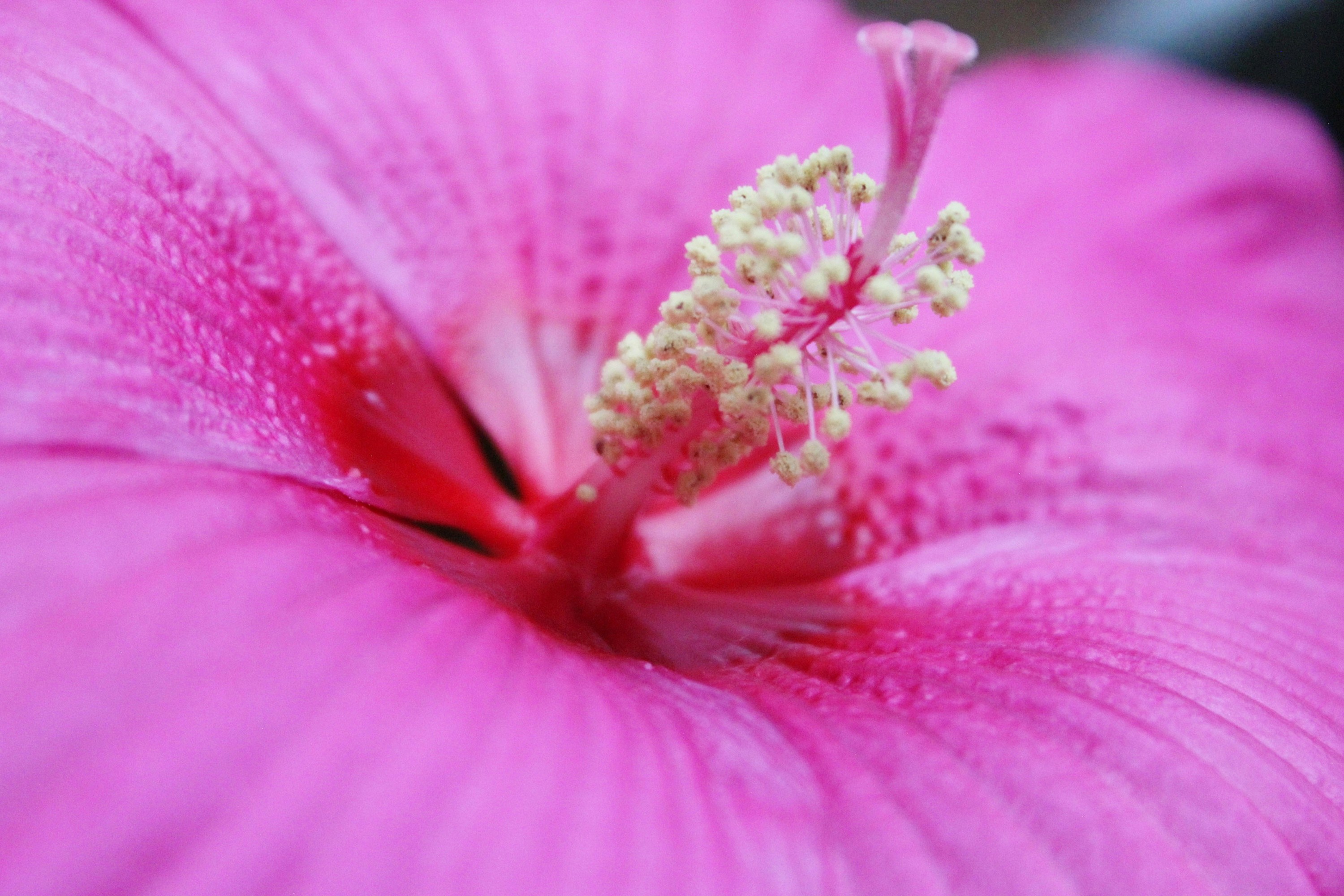 Photo by viewsofthecamera