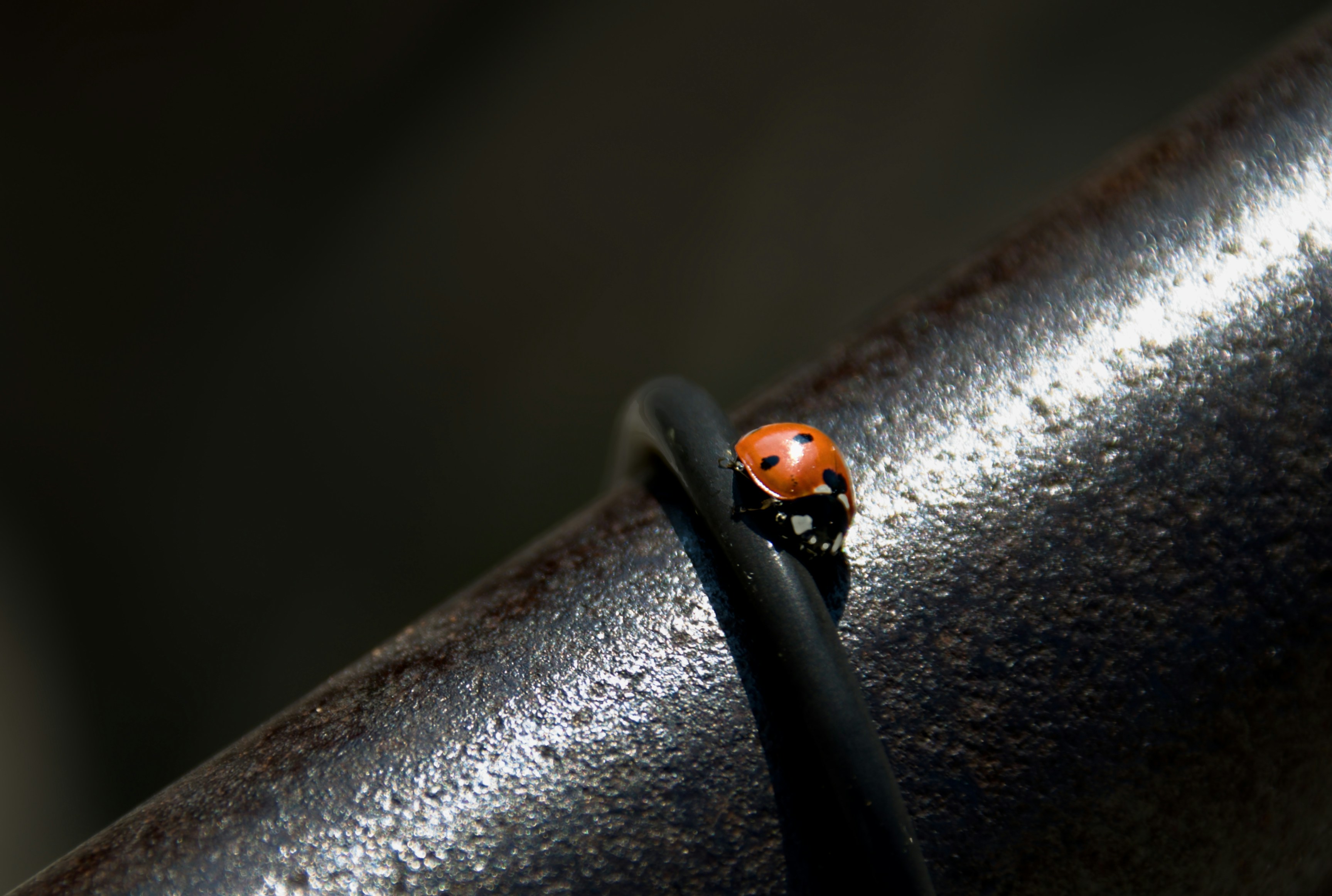 Photo by mariobeducci