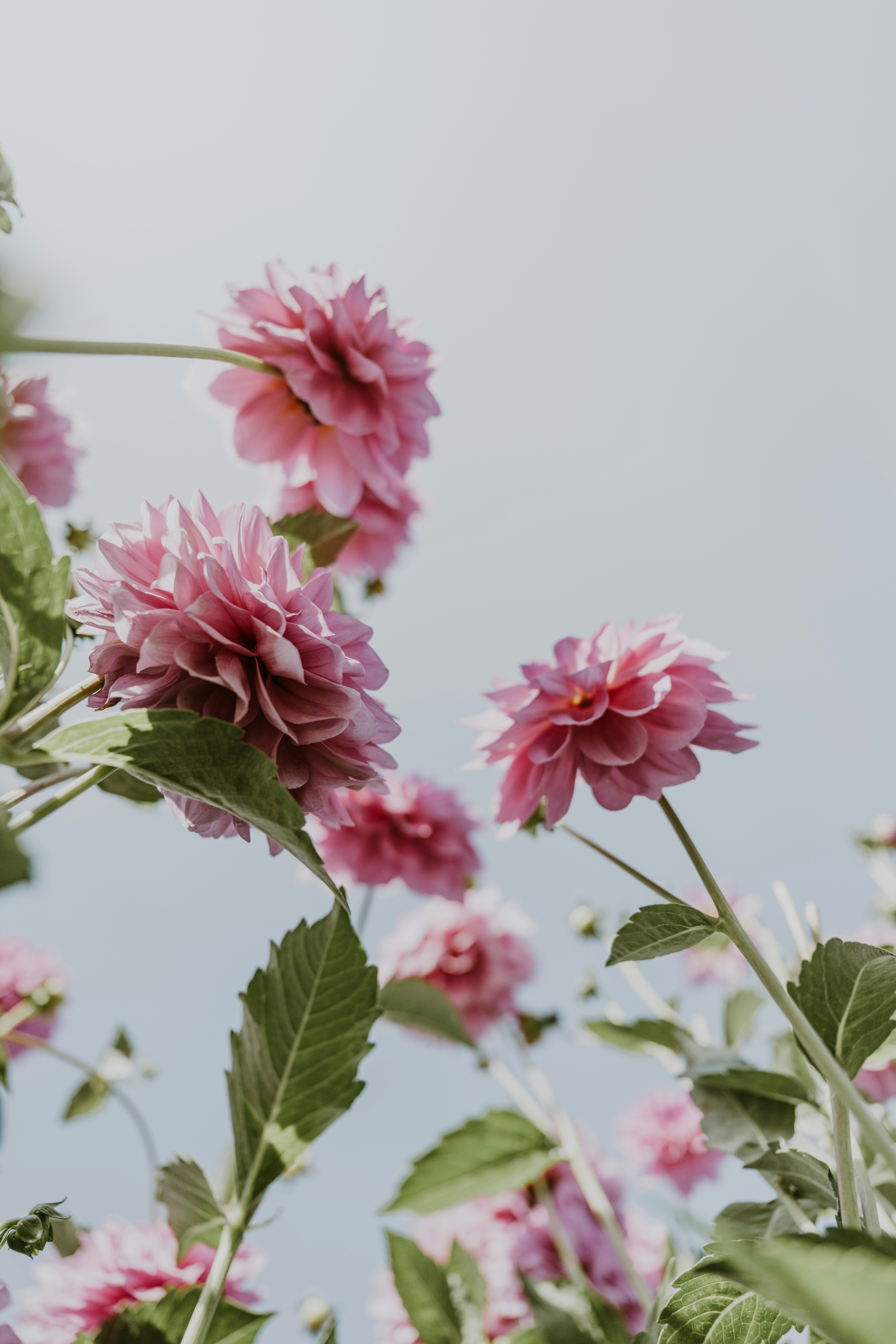 Photo by anitaaustvika