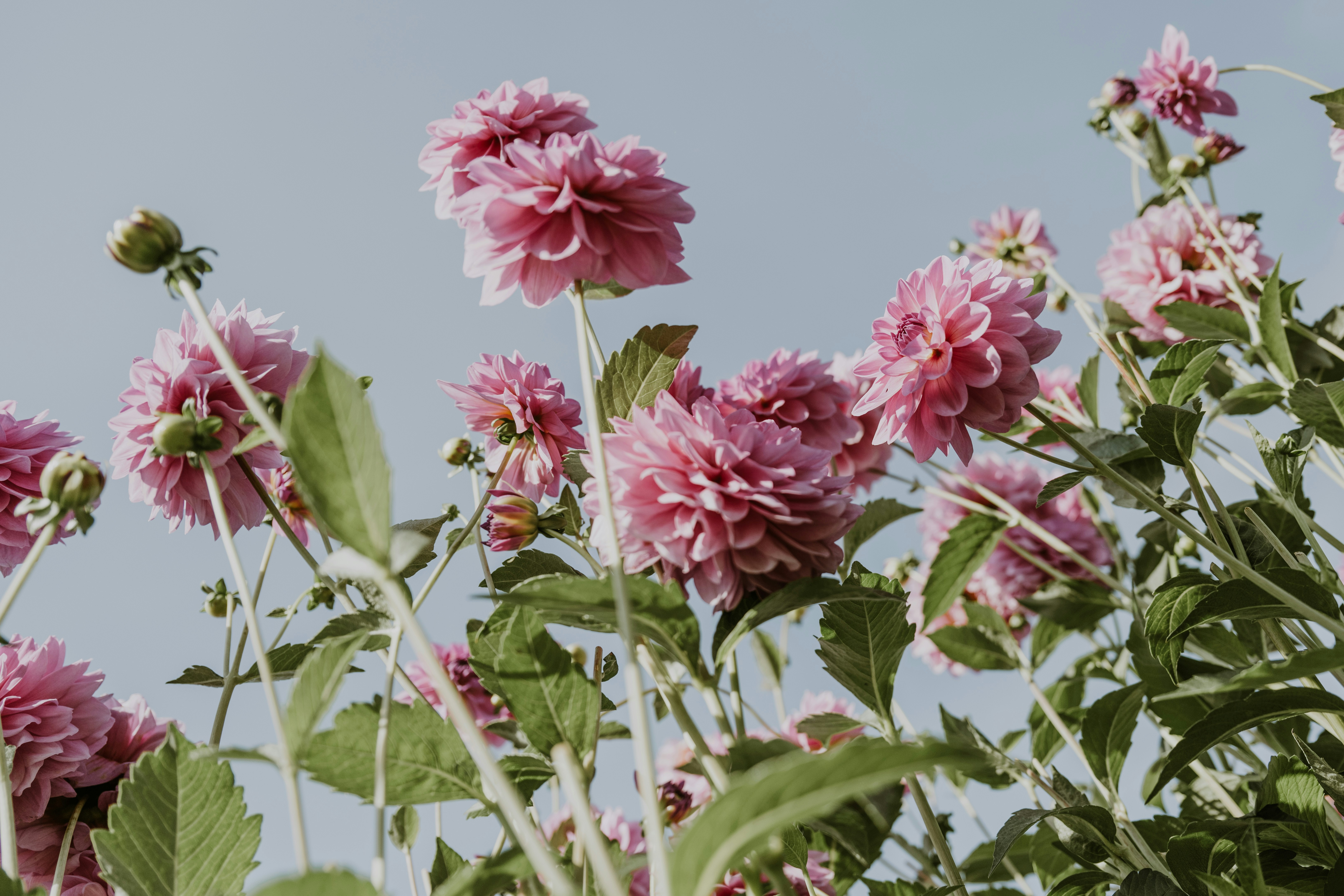 Photo by anitaaustvika