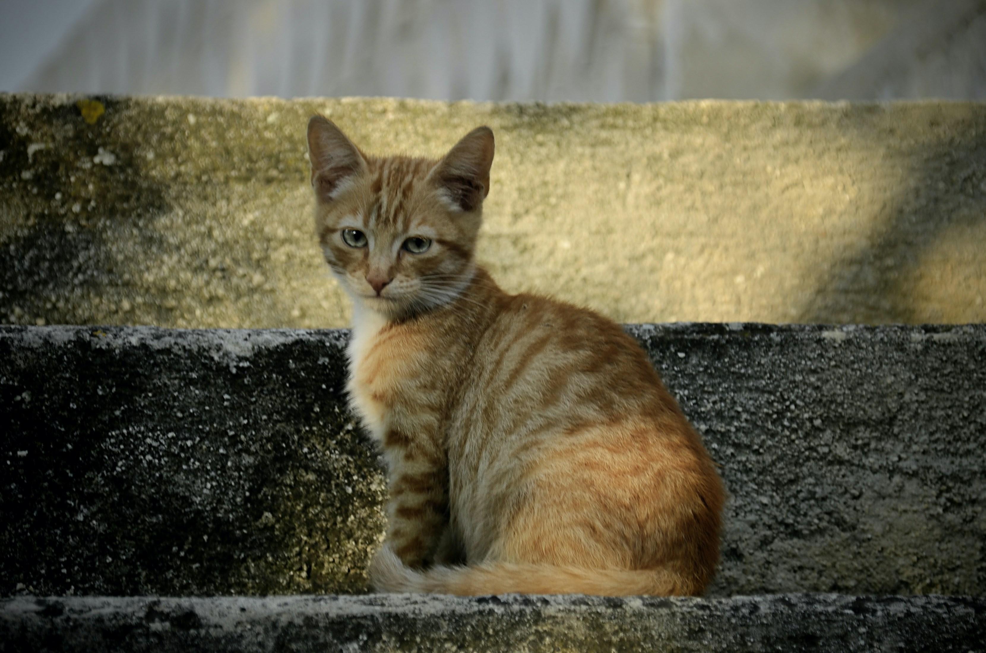 Photo by mariobeducci