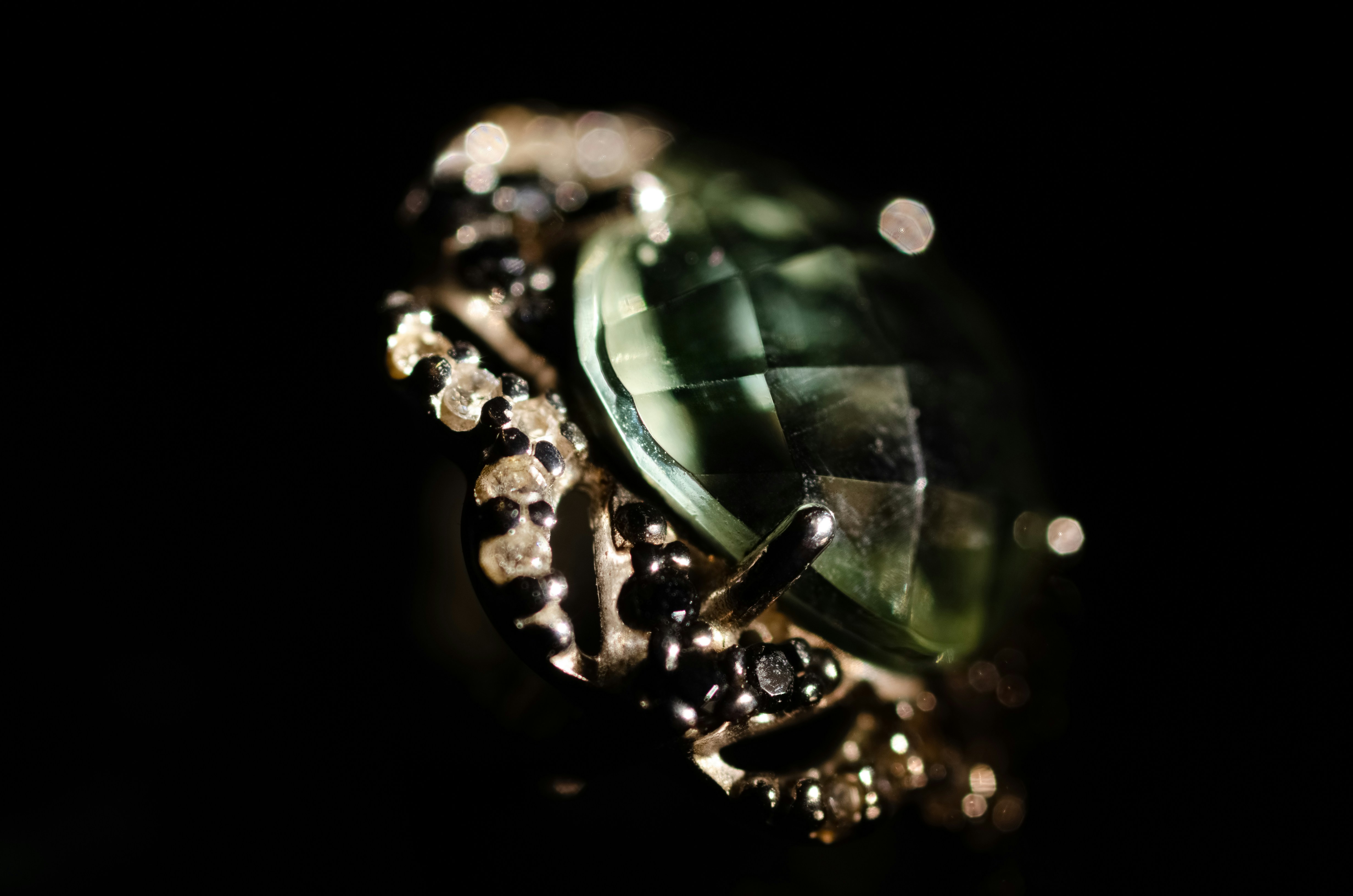 Photo by andrilliardbond