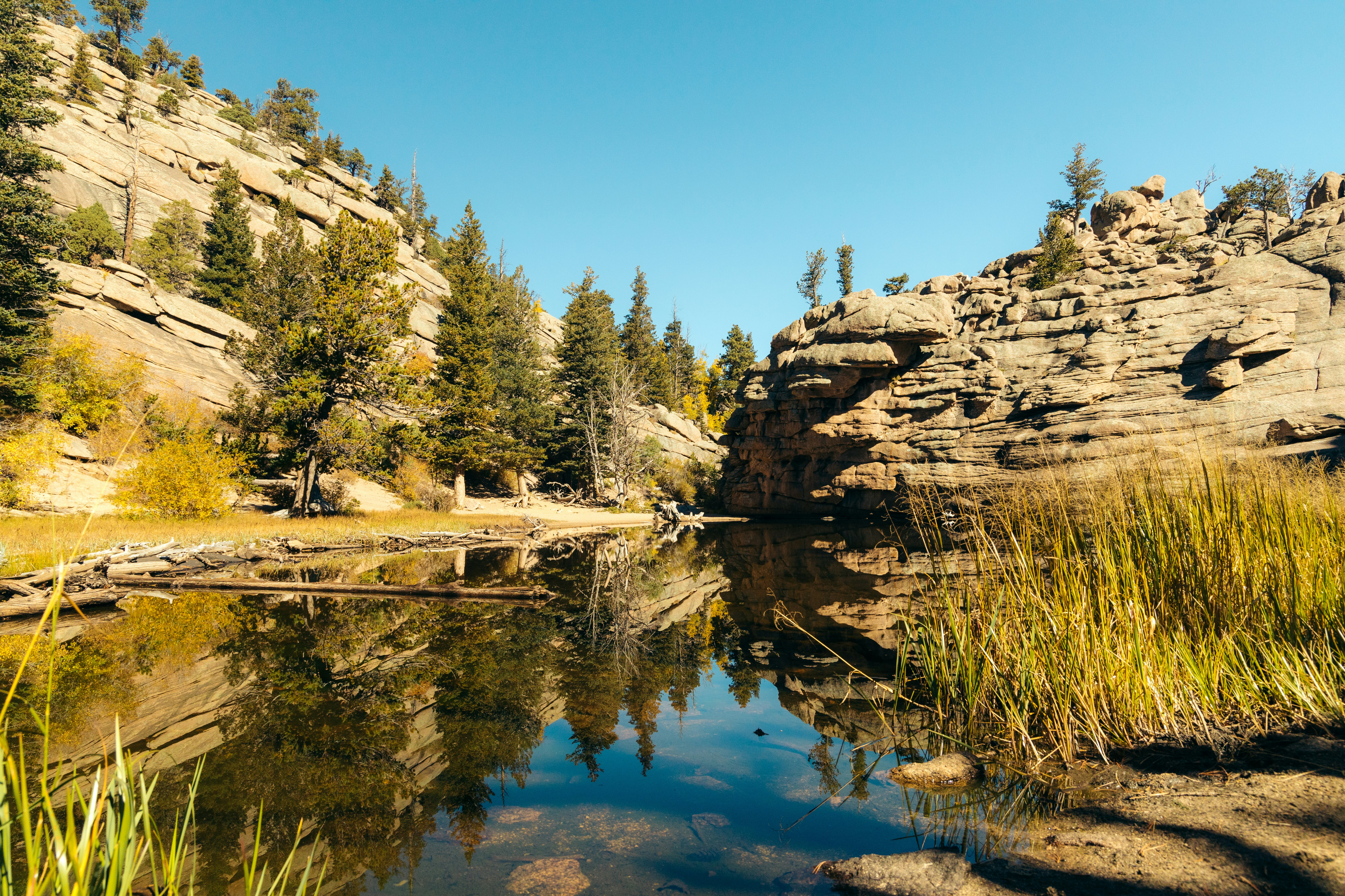 Photo by ldpeterson11