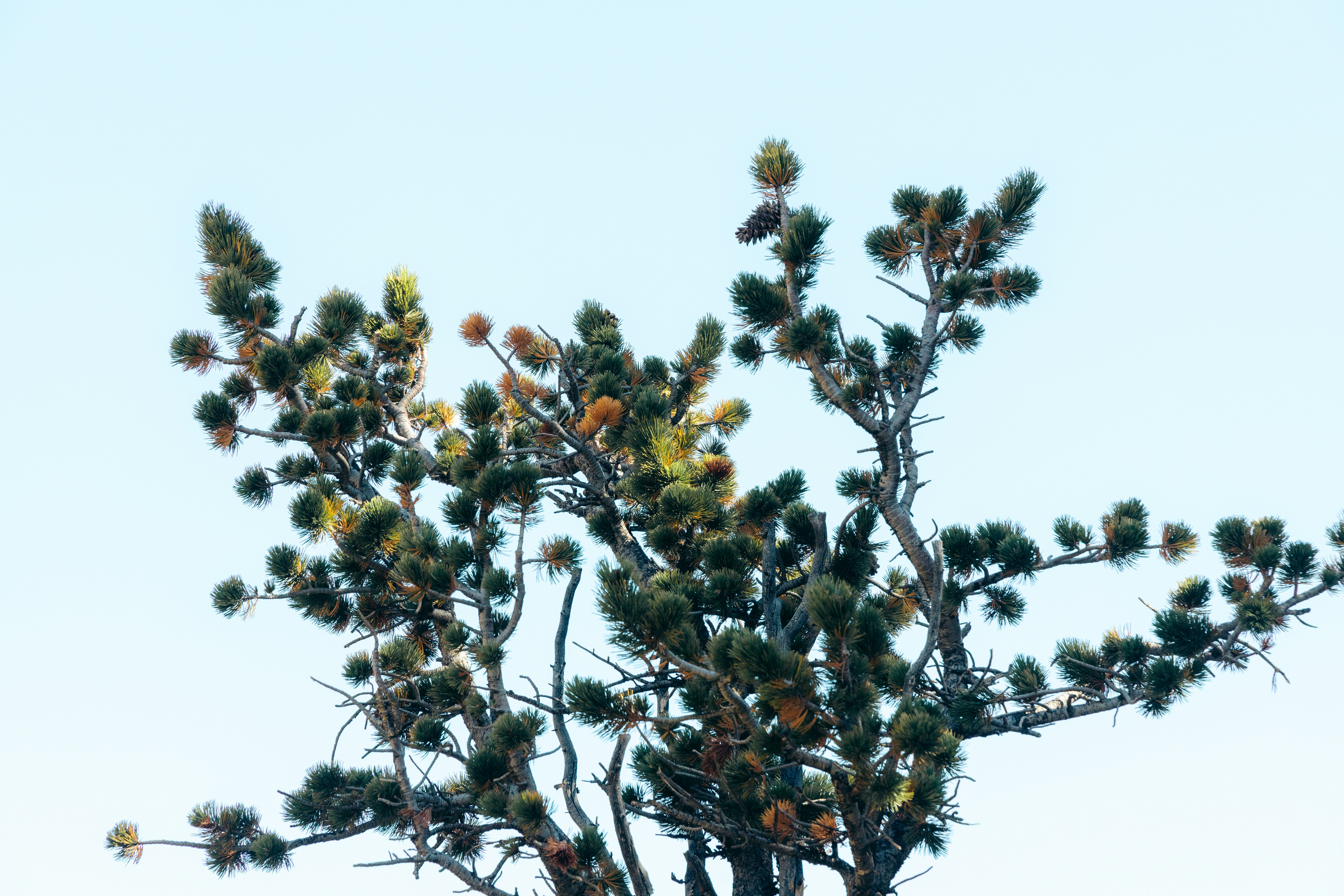 Photo by ldpeterson11