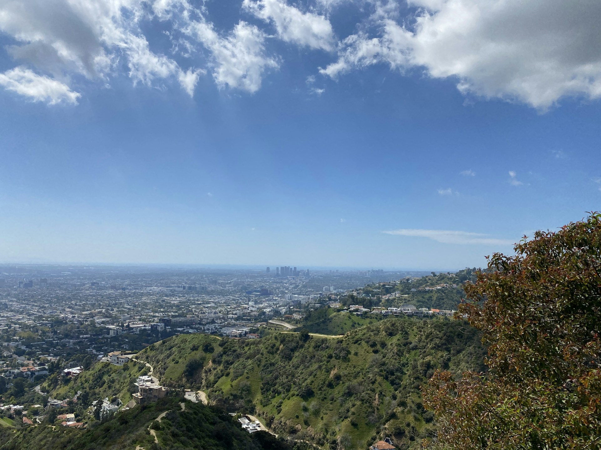 A scenic view of a city from a hill