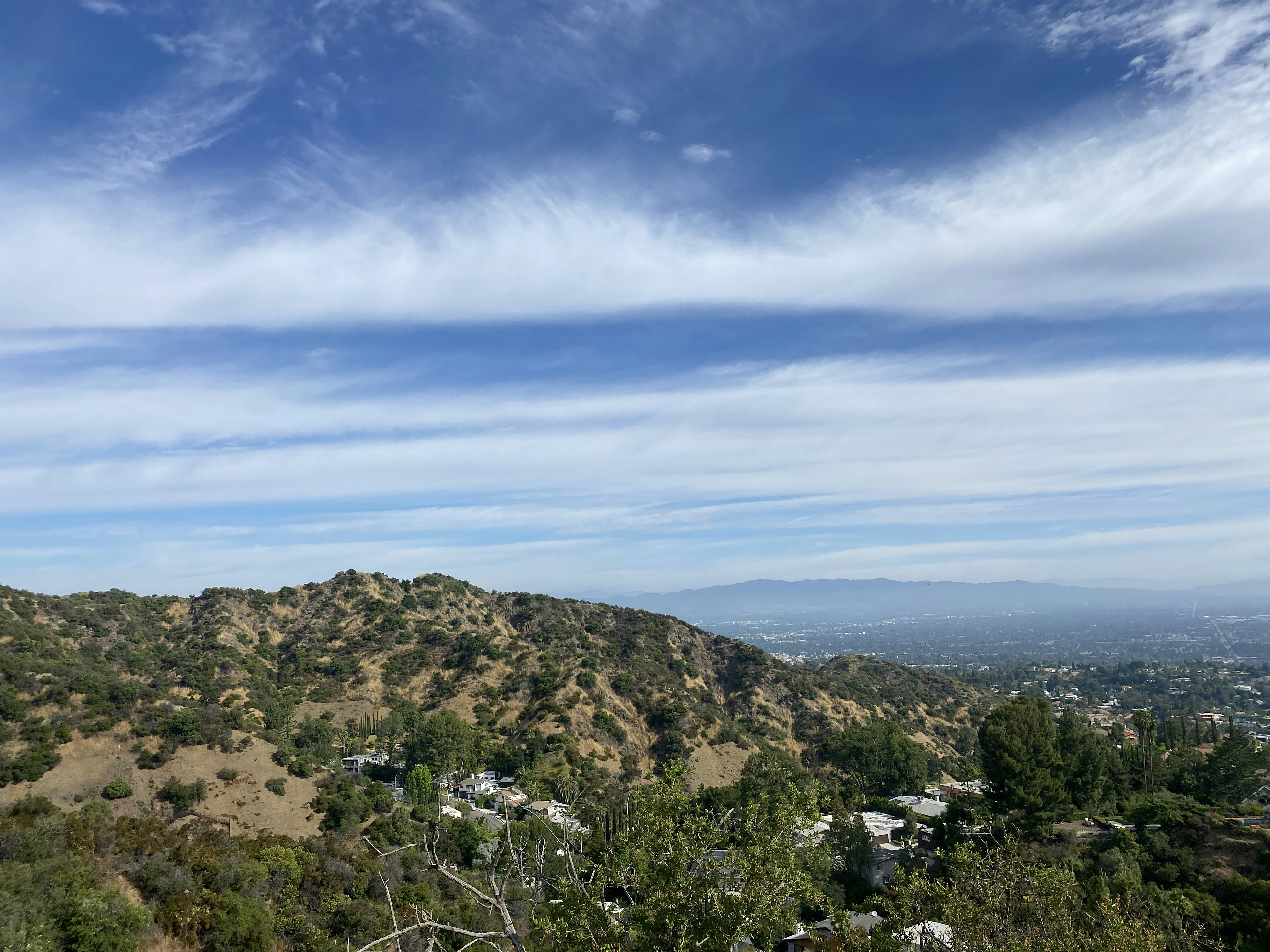 A view of a mountain with a lot of trees in the foreground