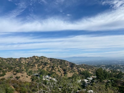 A view of a mountain with a lot of trees in the foreground