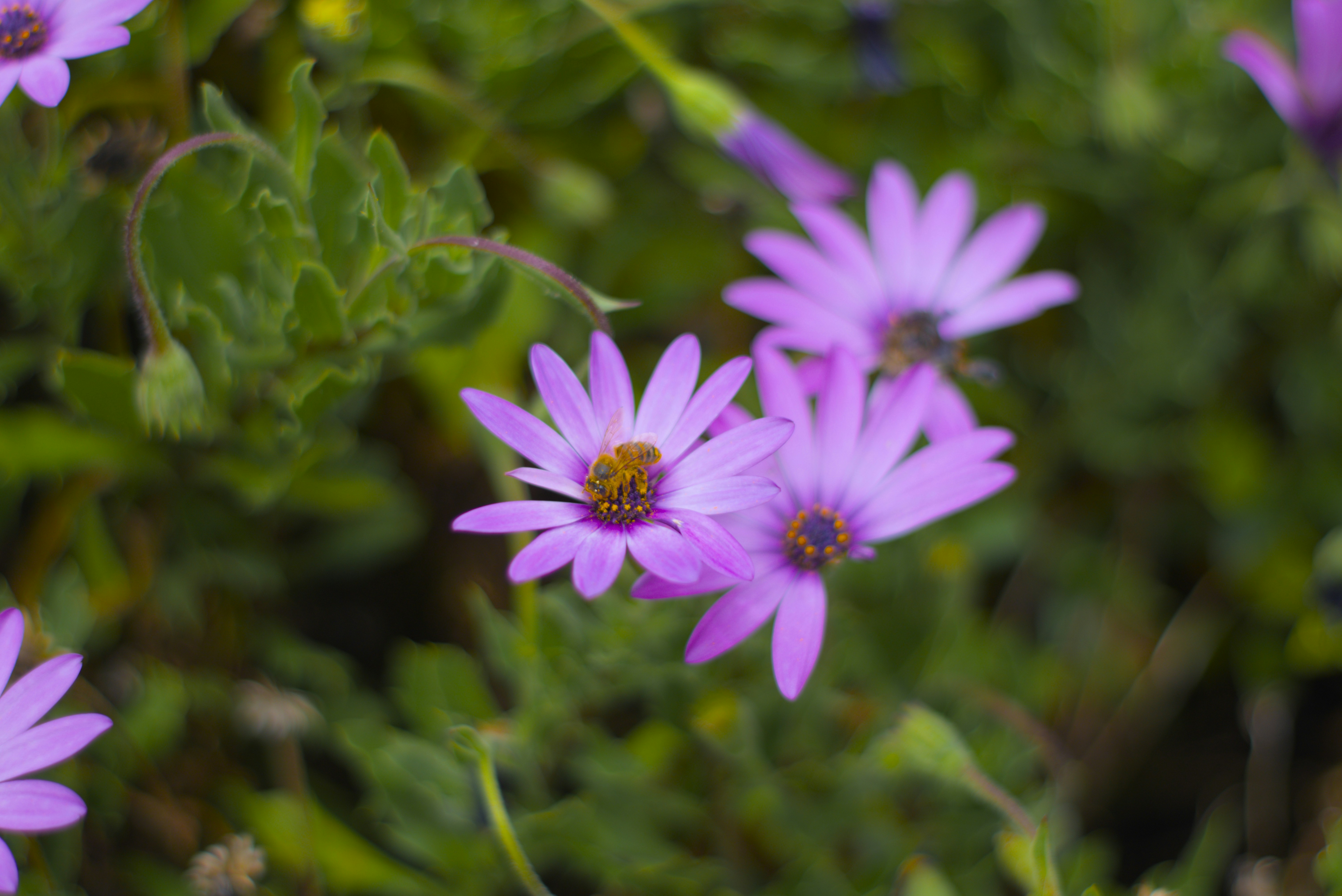 Photo by herediaheavyinduestries