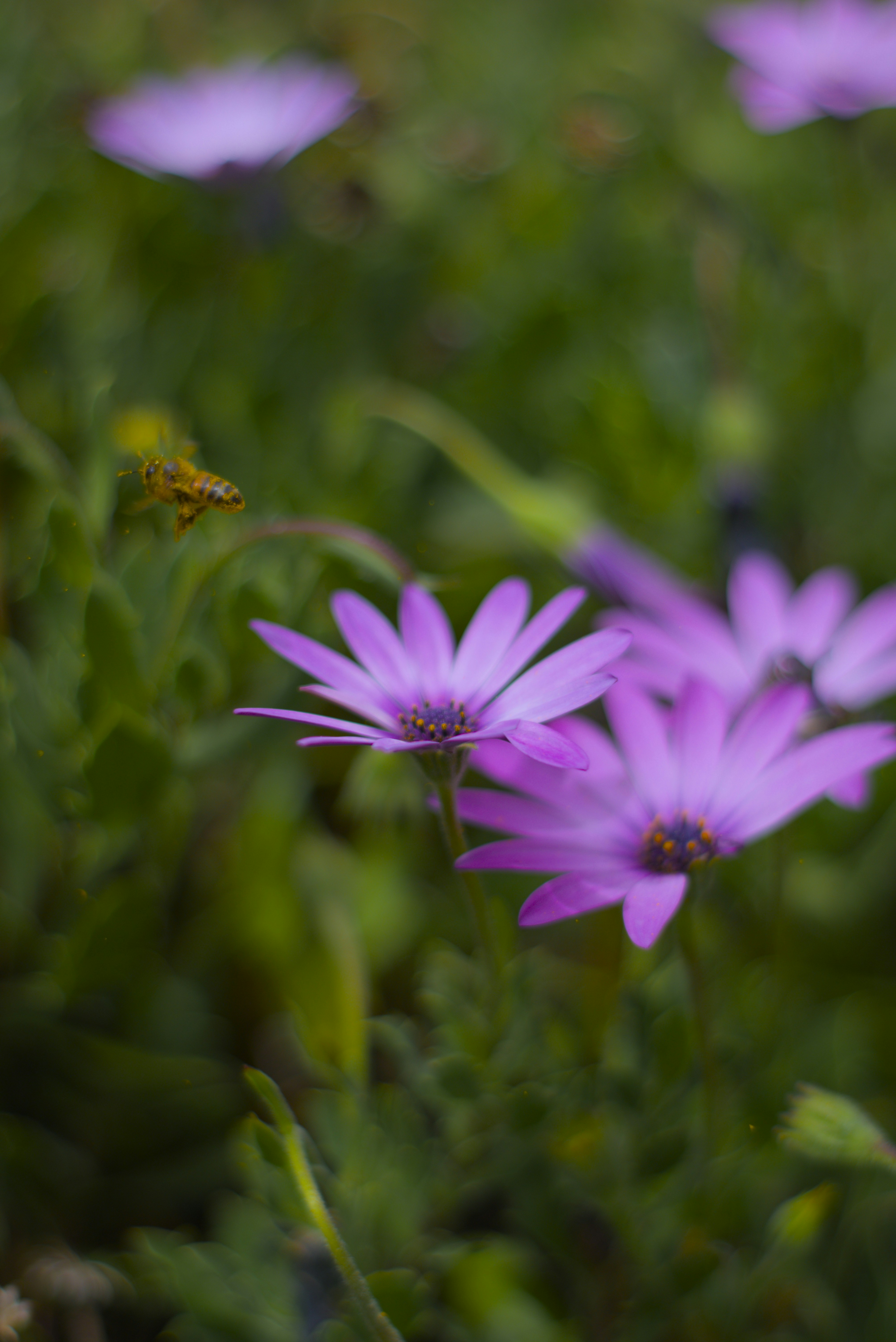 Photo by herediaheavyinduestries