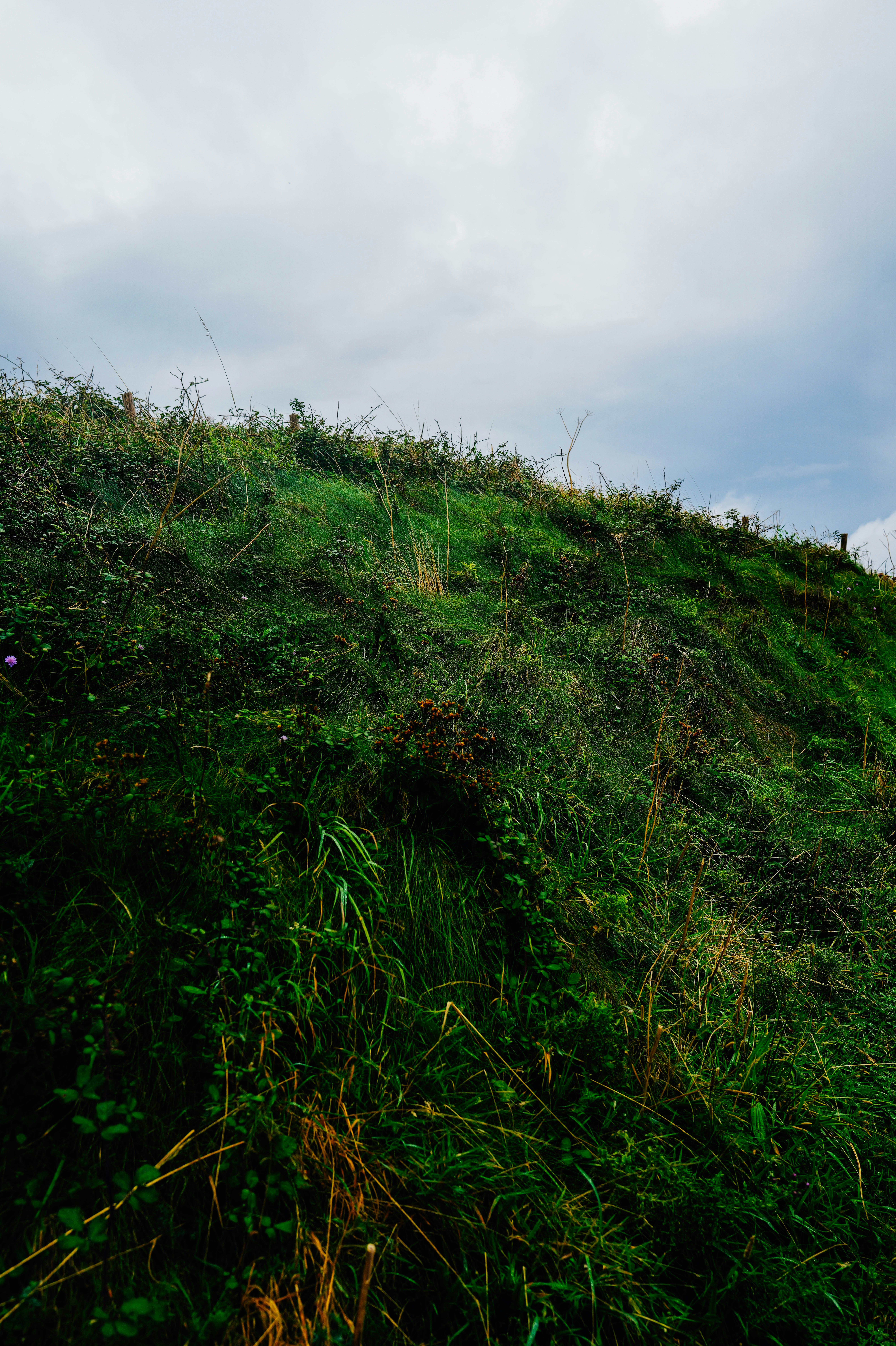 Photo by adrienolichon