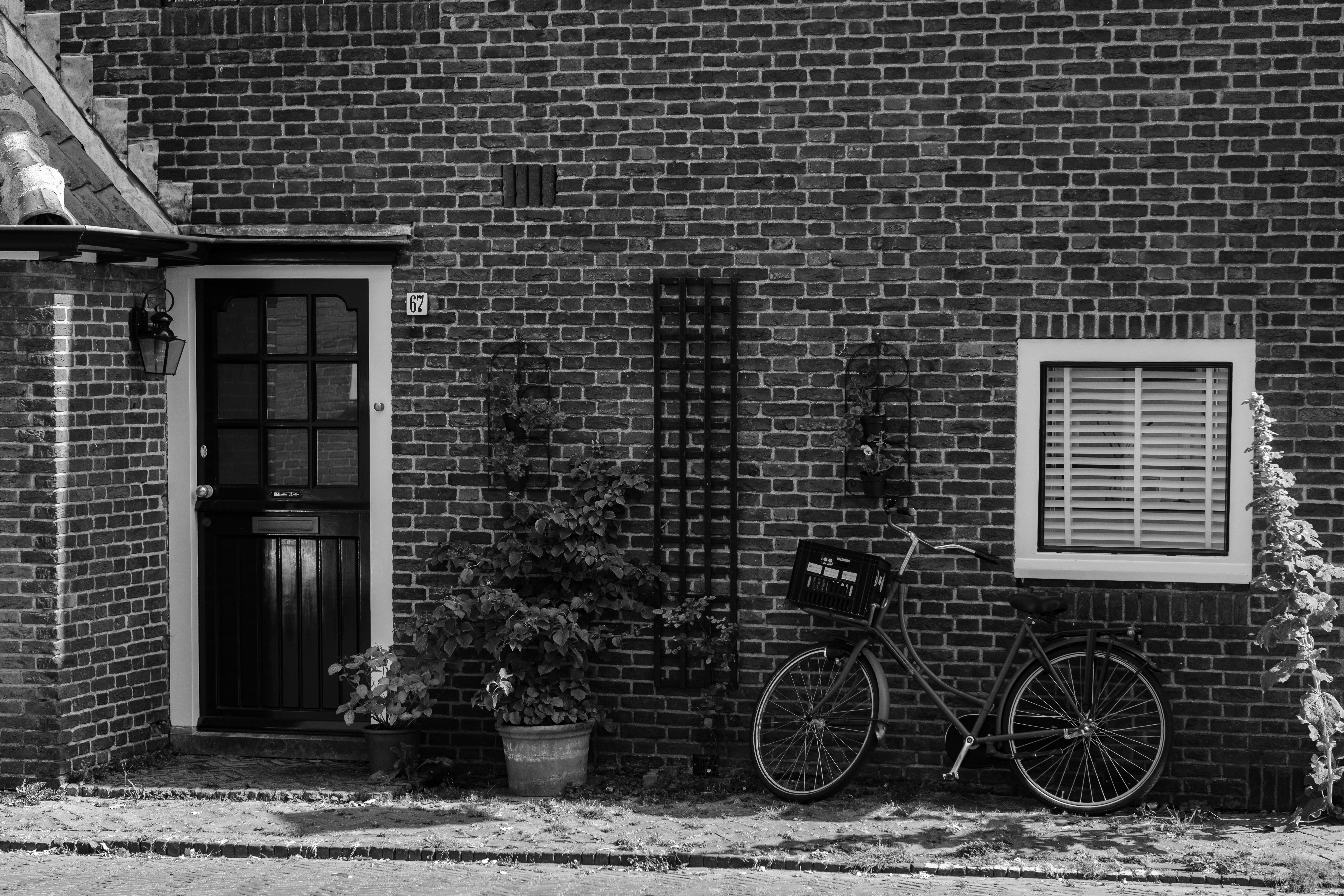 Photo by haberdoedas