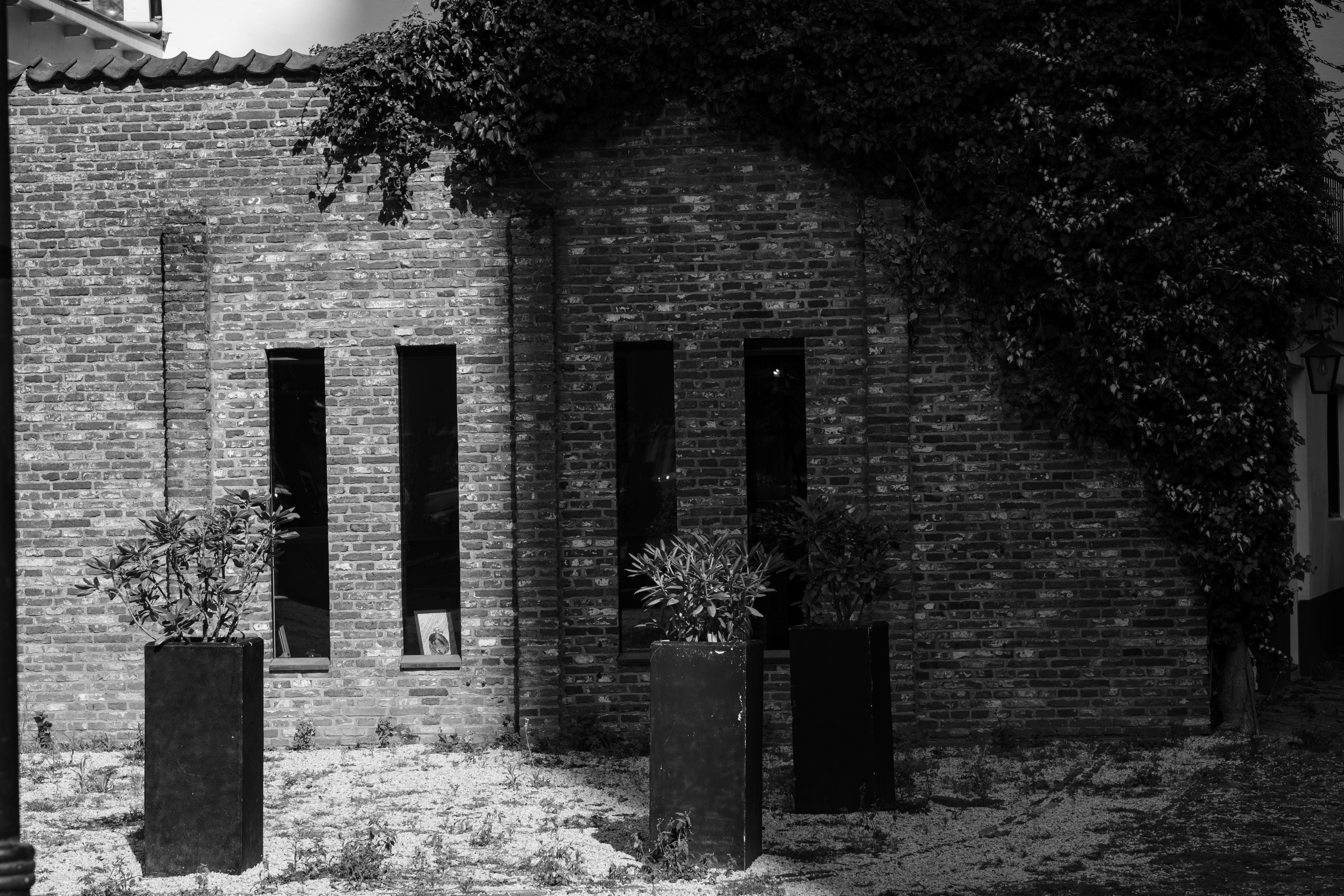 Photo by haberdoedas