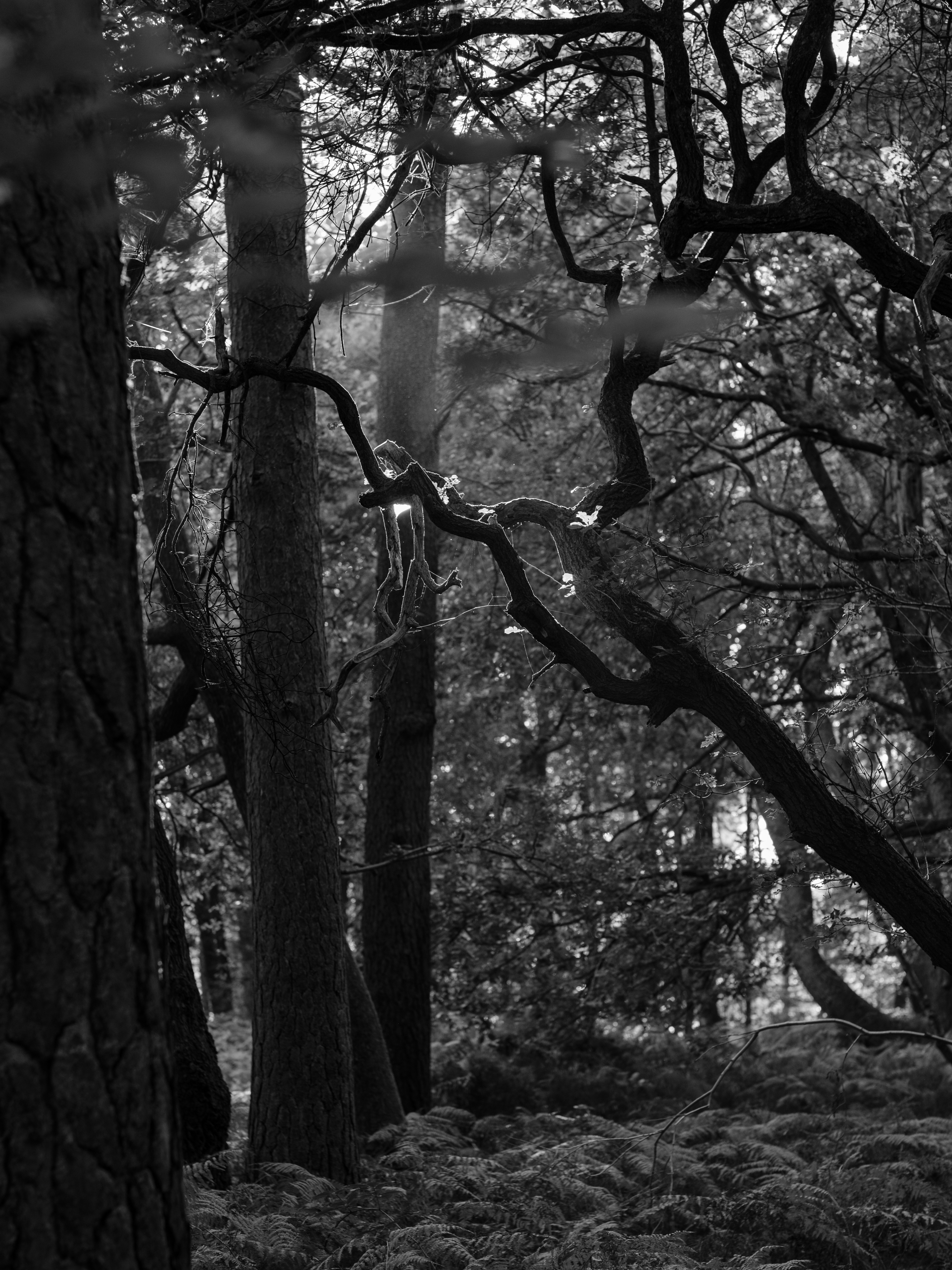 Photo by haberdoedas