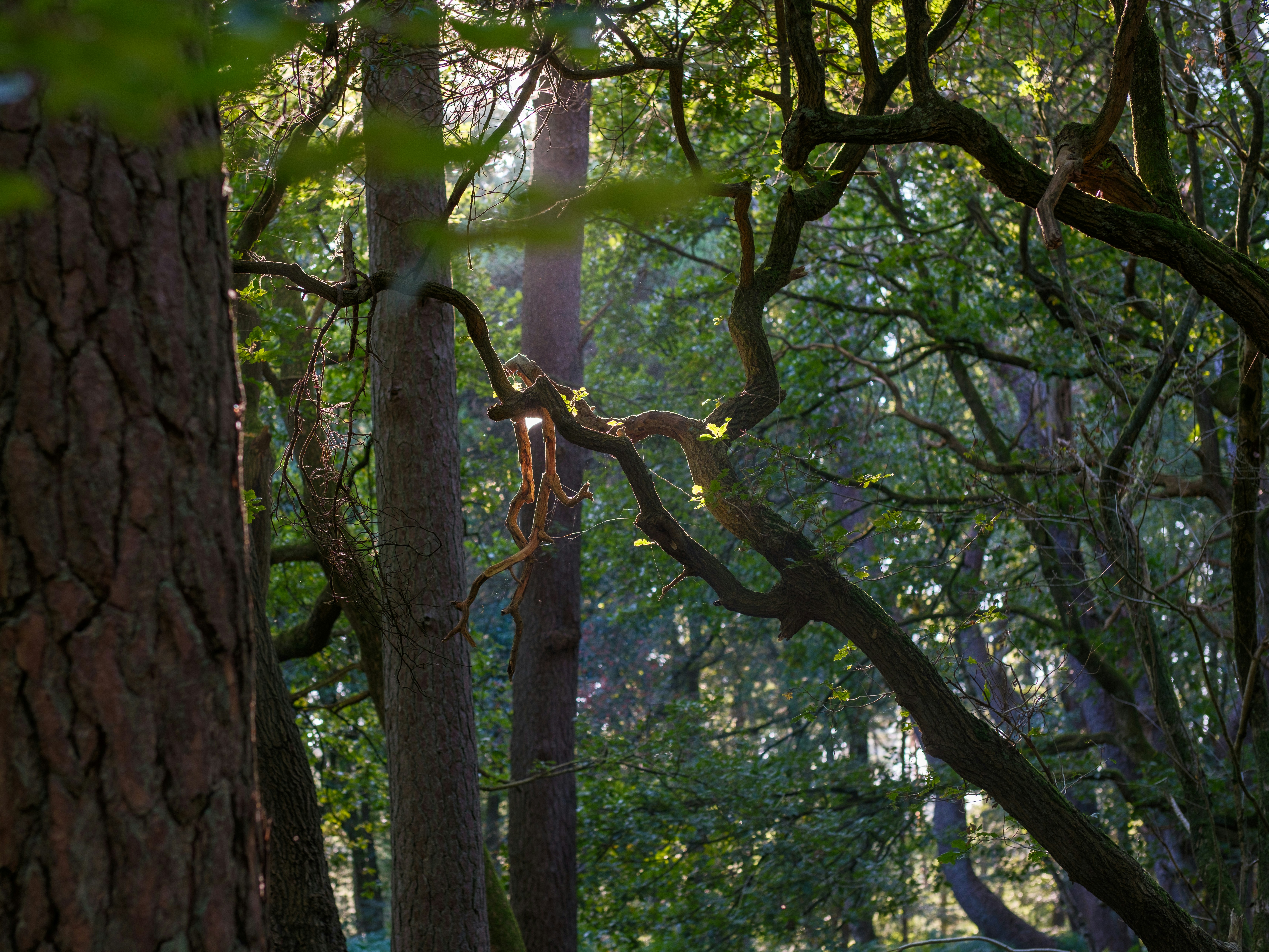 Photo by haberdoedas